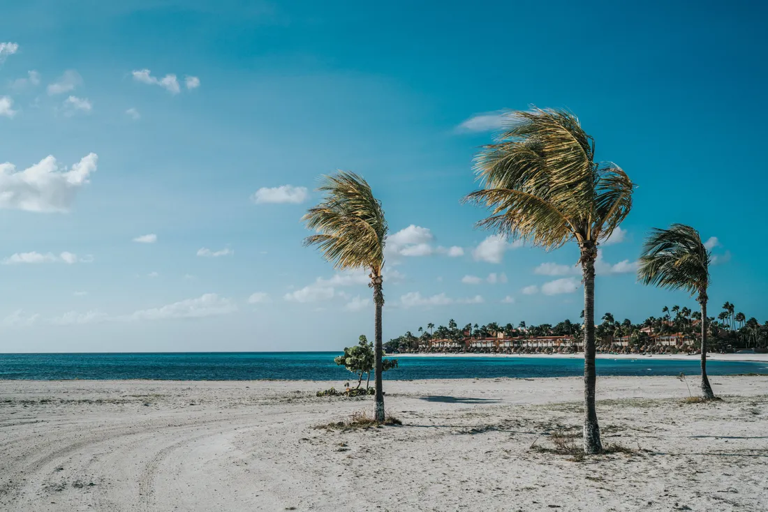 Aruba