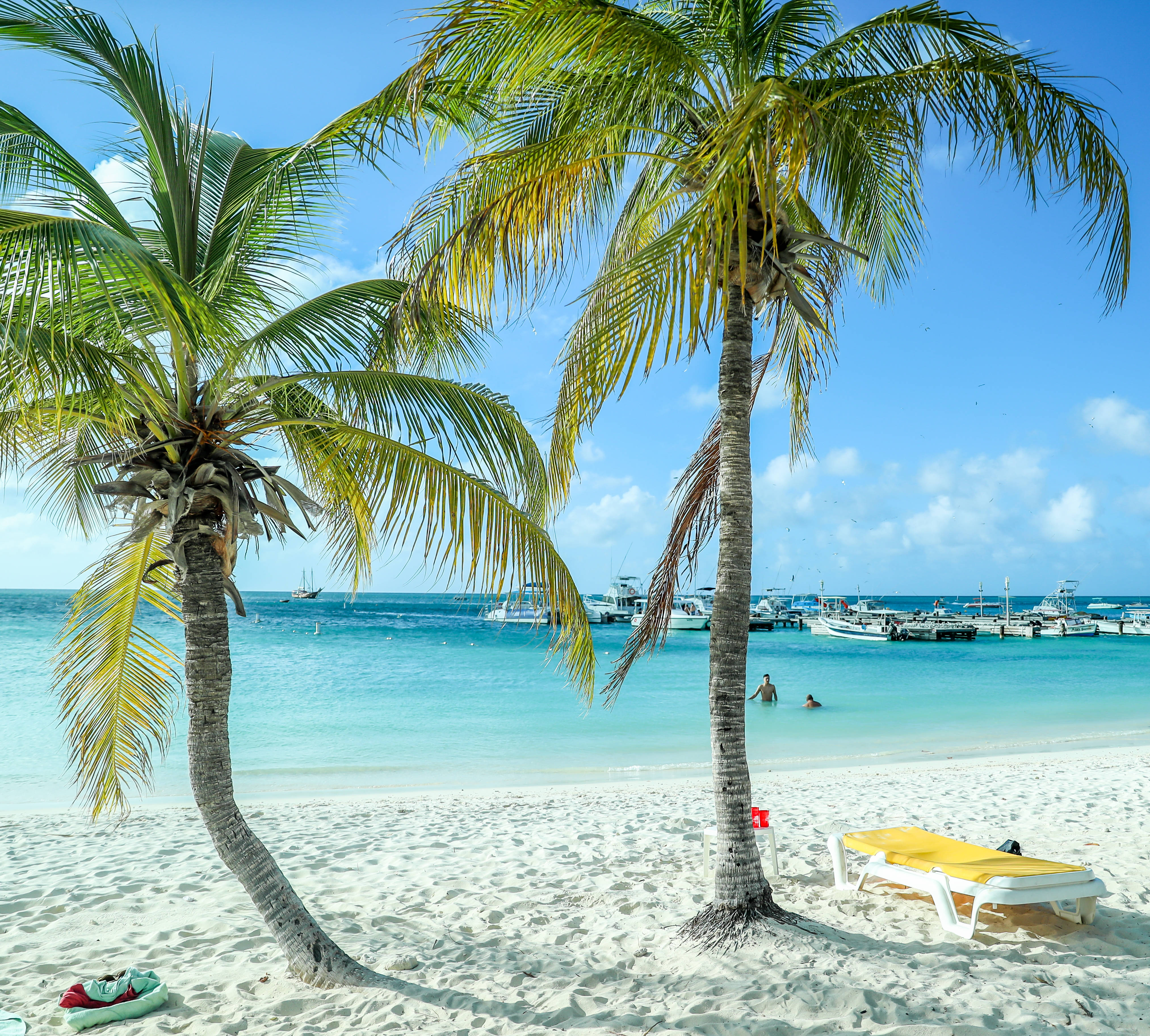 Aruba, palm trees, white sandy beach, 4K Desktop Wallpaper