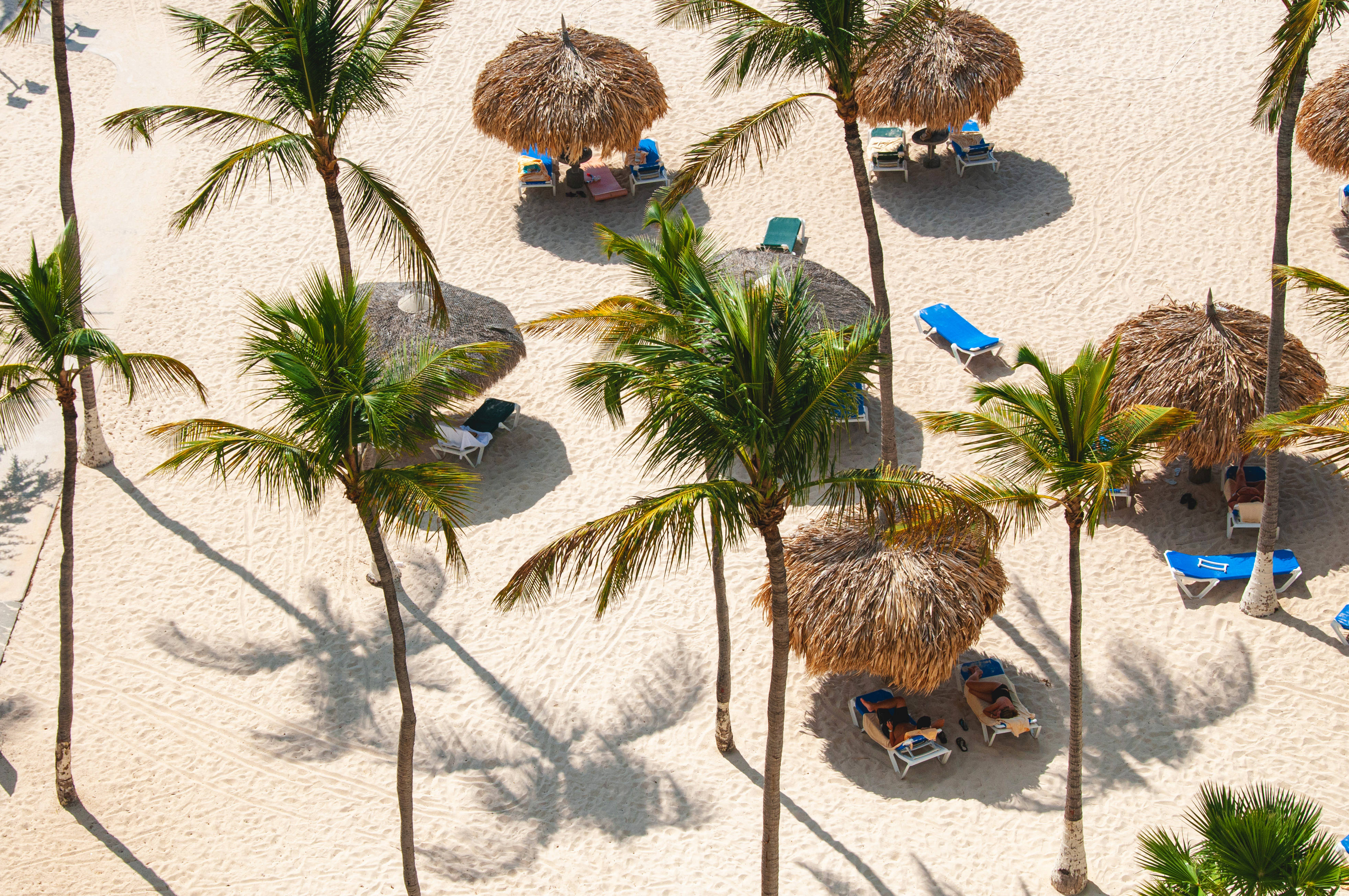 Aruba, tiki hut, coconuts, 4K Desktop Wallpaper