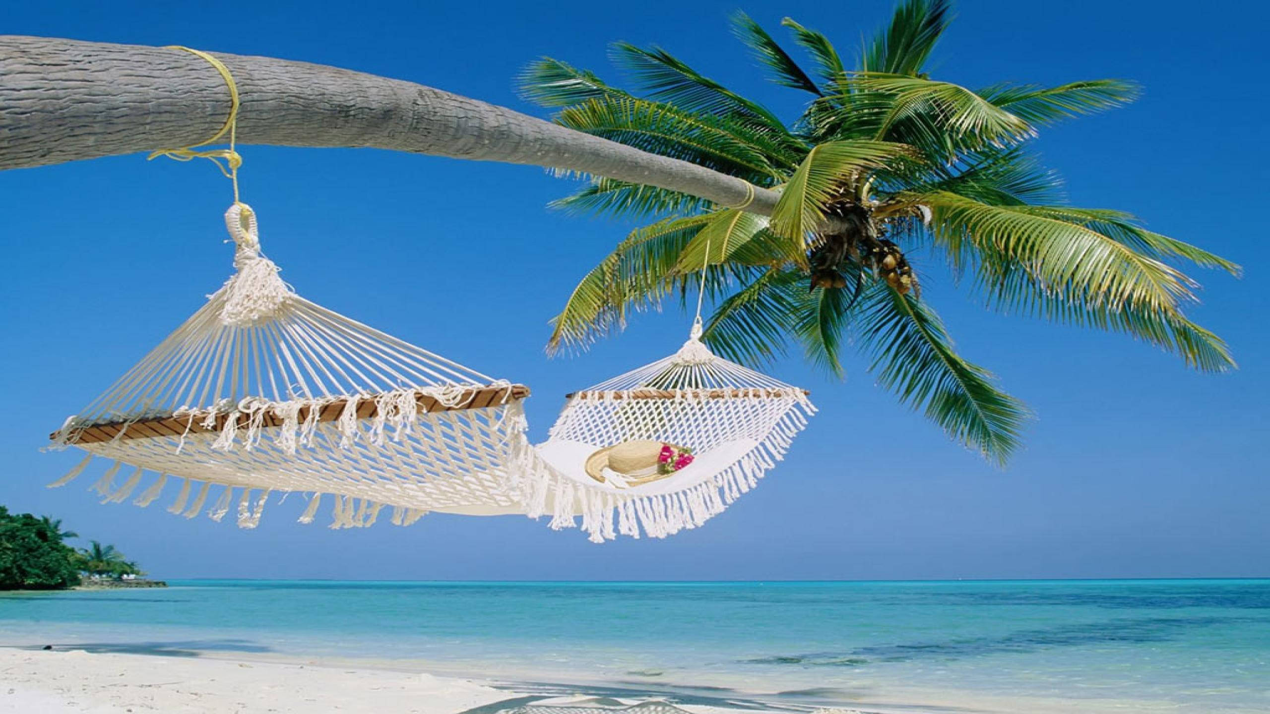 Aruba, cozy palm tree hammock, white macrame hammocks, 2K Desktop Wallpaper