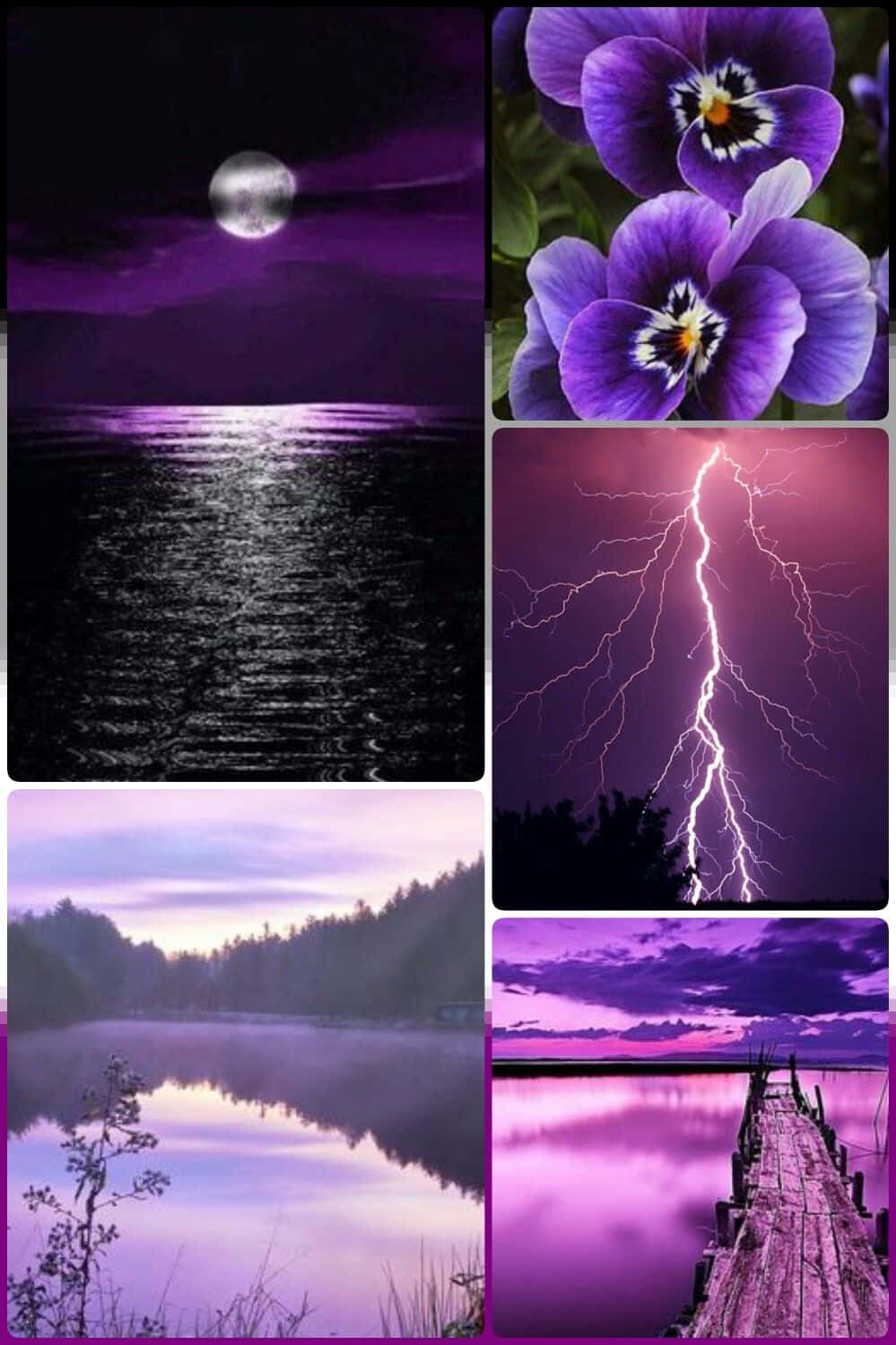 purple, moonlit water, flowers, HD Phone Wallpaper