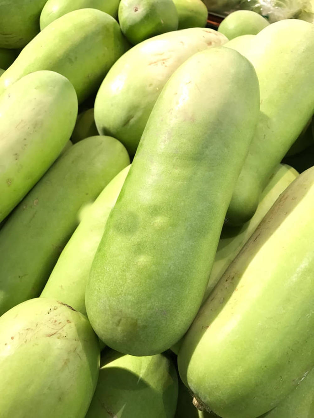 Ash Gourd, light green, zucchini, HD Phone Wallpaper