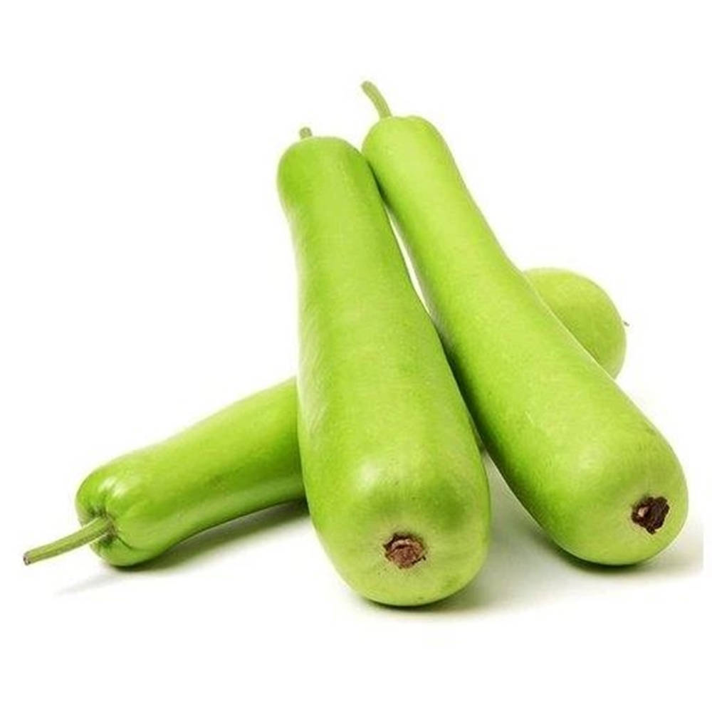 Ash Gourd, long bottle gourd variety, fresh green bottle gourds, SD Desktop Wallpaper