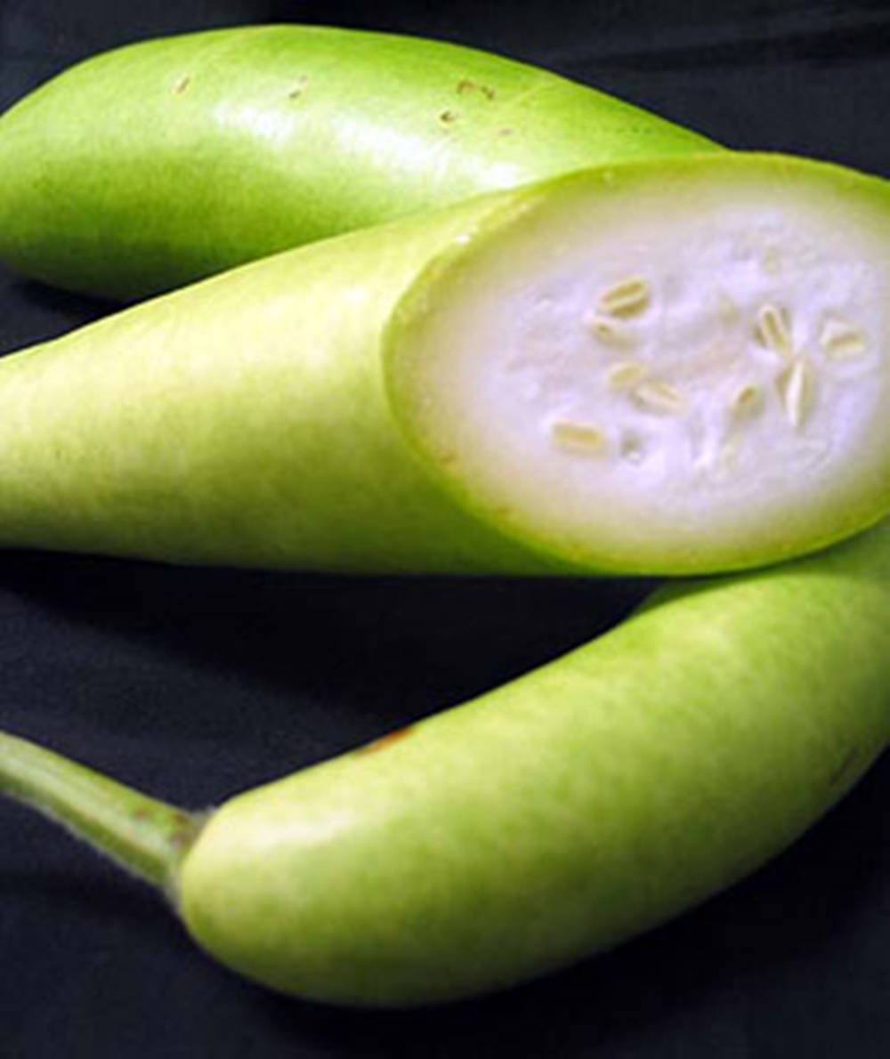 Ash Gourd, loofah gourds, pale seeds, SD Phone Wallpaper
