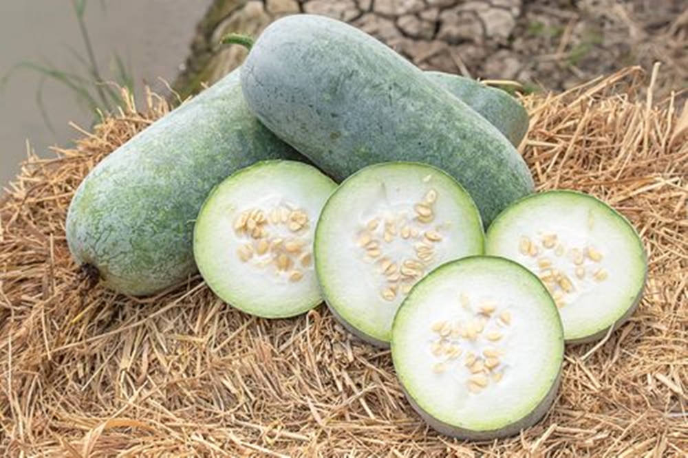 Ash Gourd, sliced pieces, pale flesh, SD Desktop Wallpaper