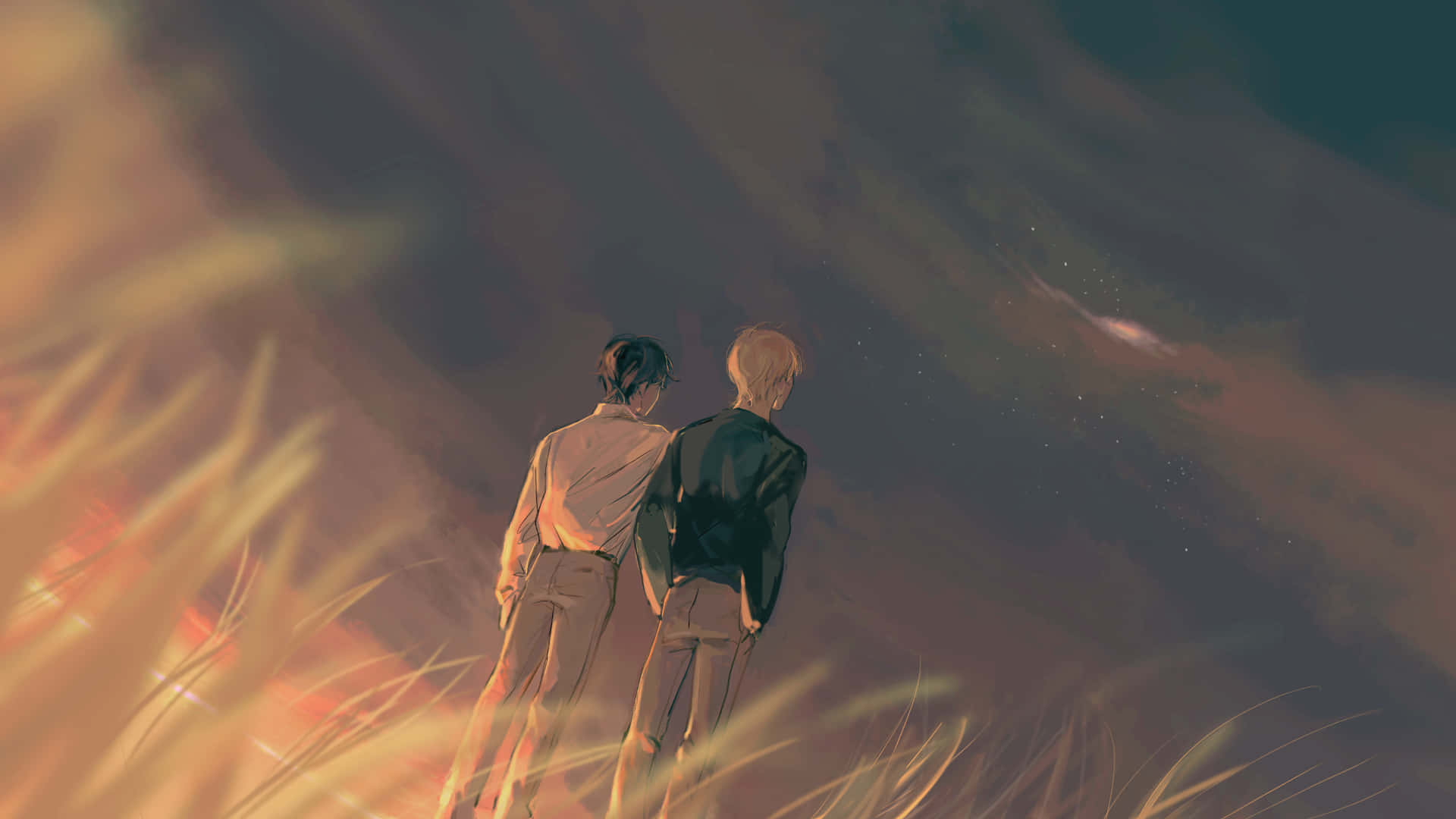 Ash Lynx, twilight sky, golden grass, Full HD Desktop Wallpaper