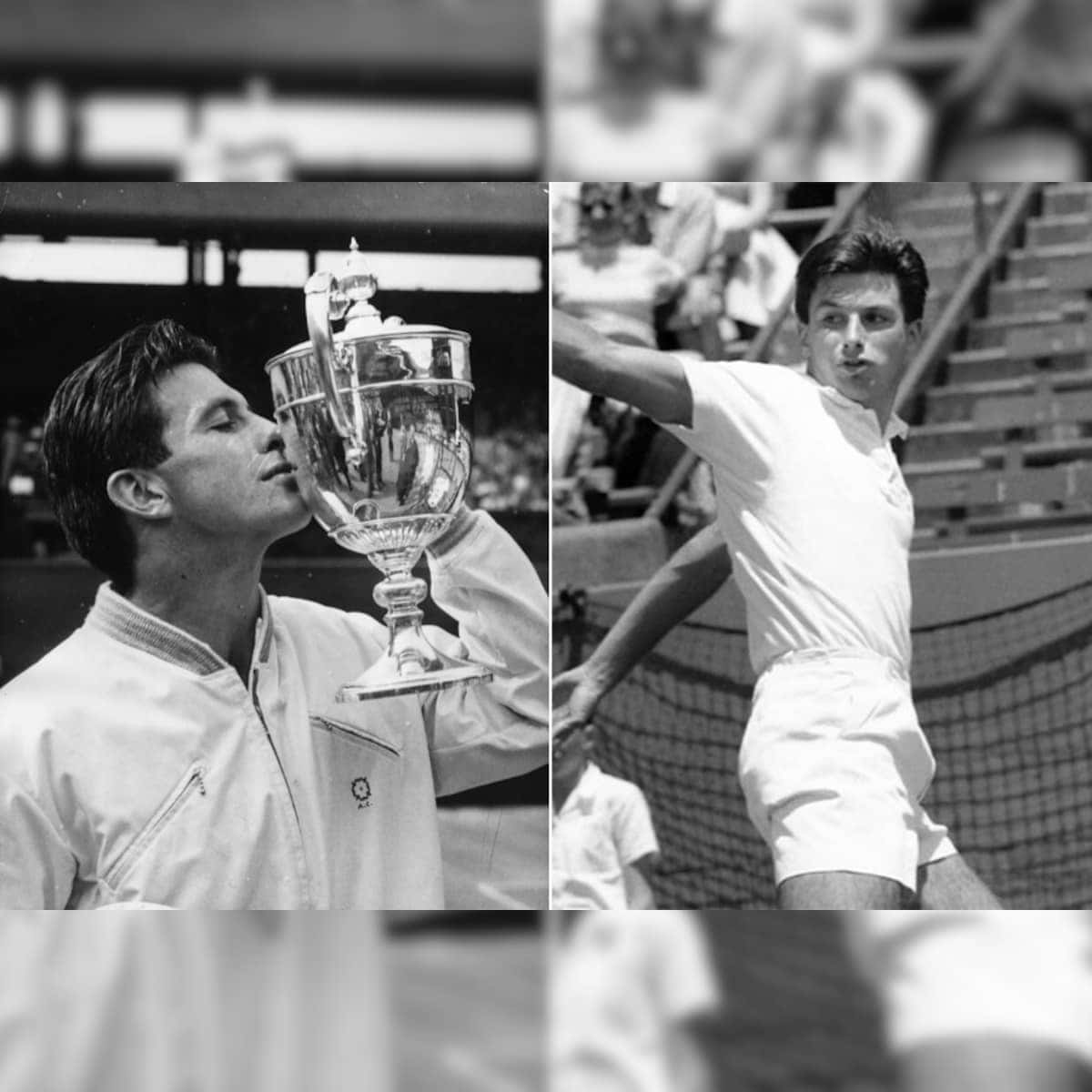 Ashley Cooper, tennis player, kissing a trophy, SD Desktop Wallpaper