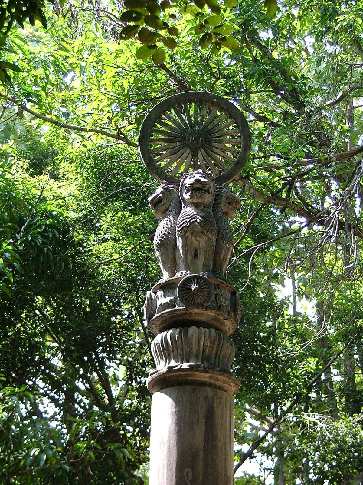Ashoka Pillar, three-headed lion, sunwheel, HD Phone Wallpaper
