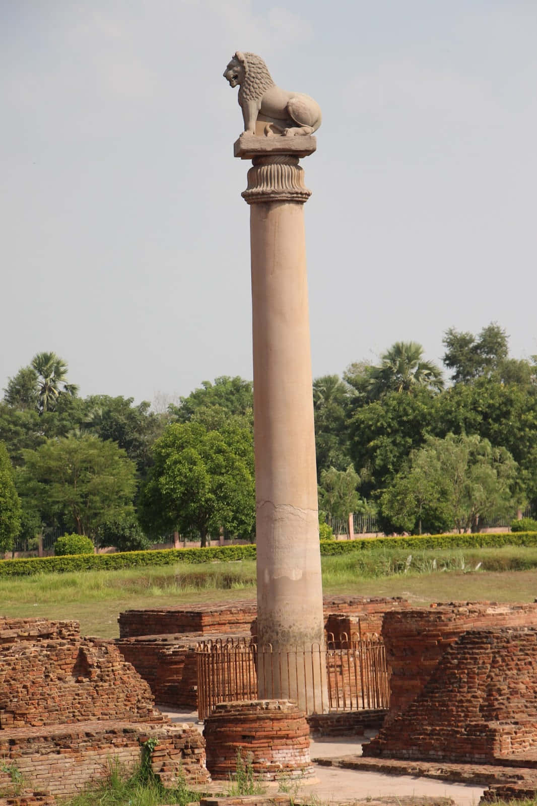 Ashoka Pillar, monolithic columns, lion capital, HD Phone Wallpaper