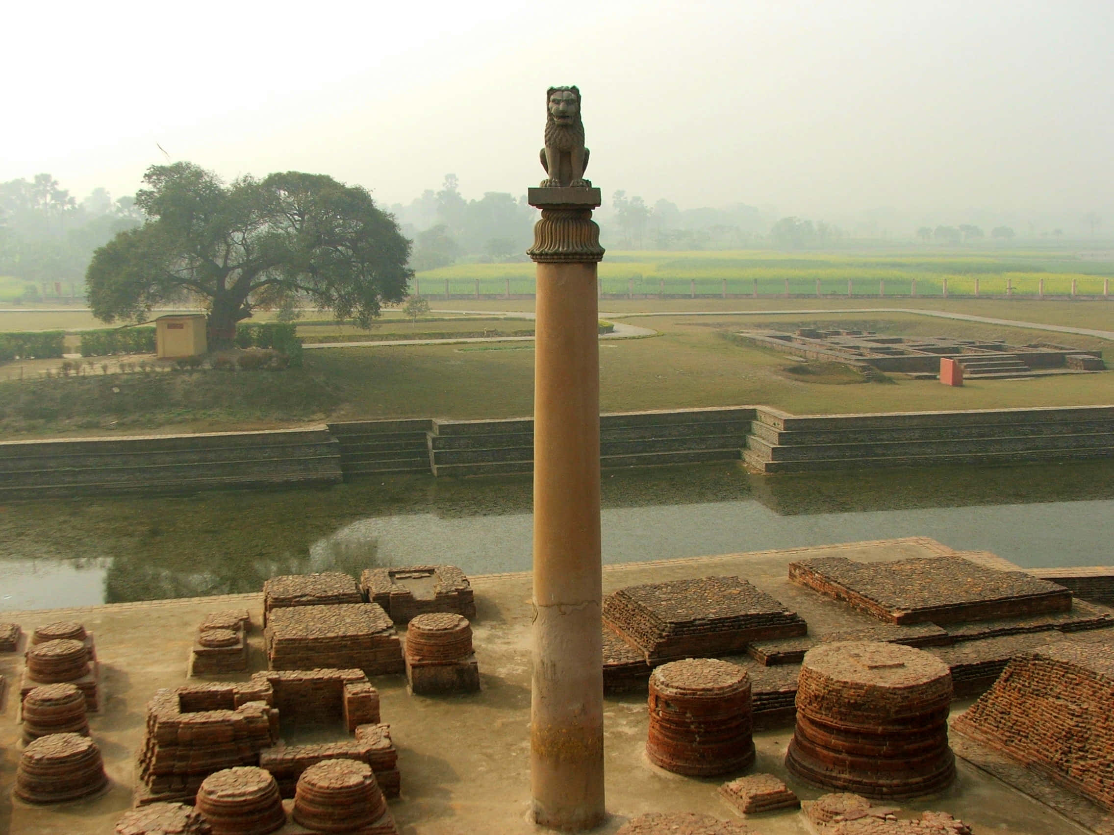 Ashoka Pillar, lion statue, ruins, Full HD Desktop Wallpaper