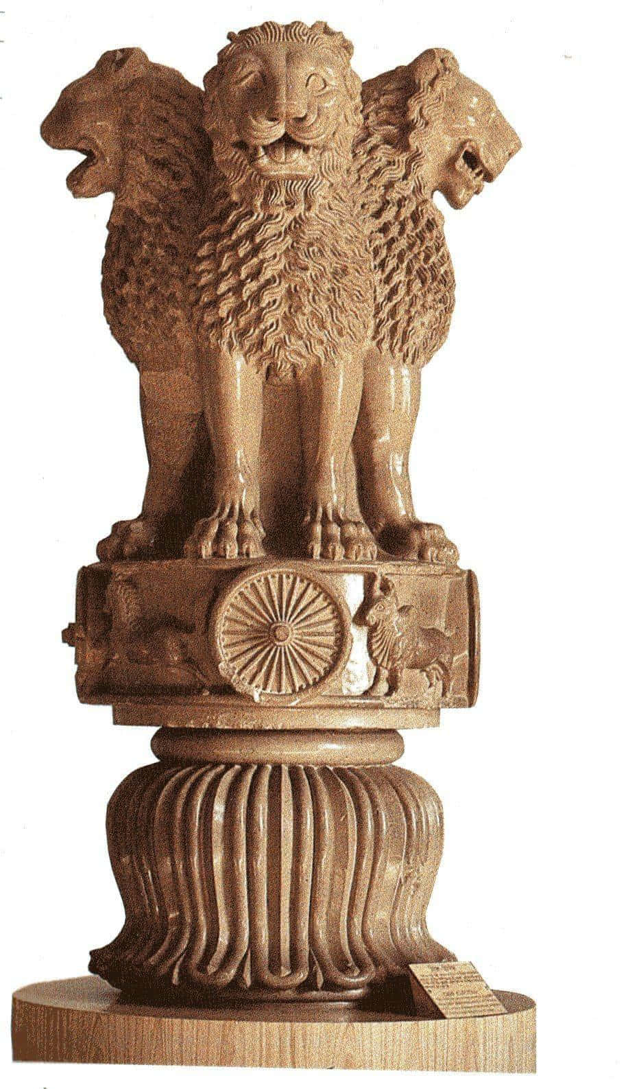 Ashoka Pillar, three-headed lion, circular wheel, HD Phone Wallpaper