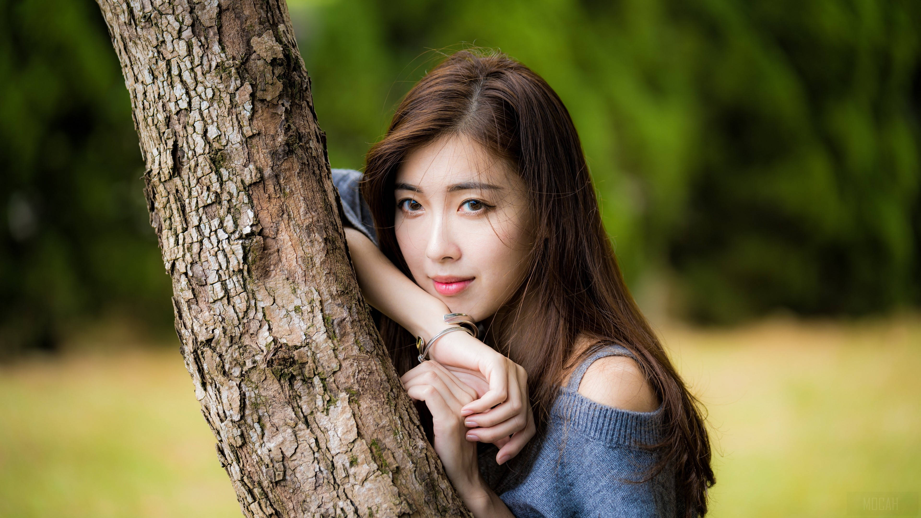 Asian Women, tree trunk, sunlit park, 4K Desktop Wallpaper