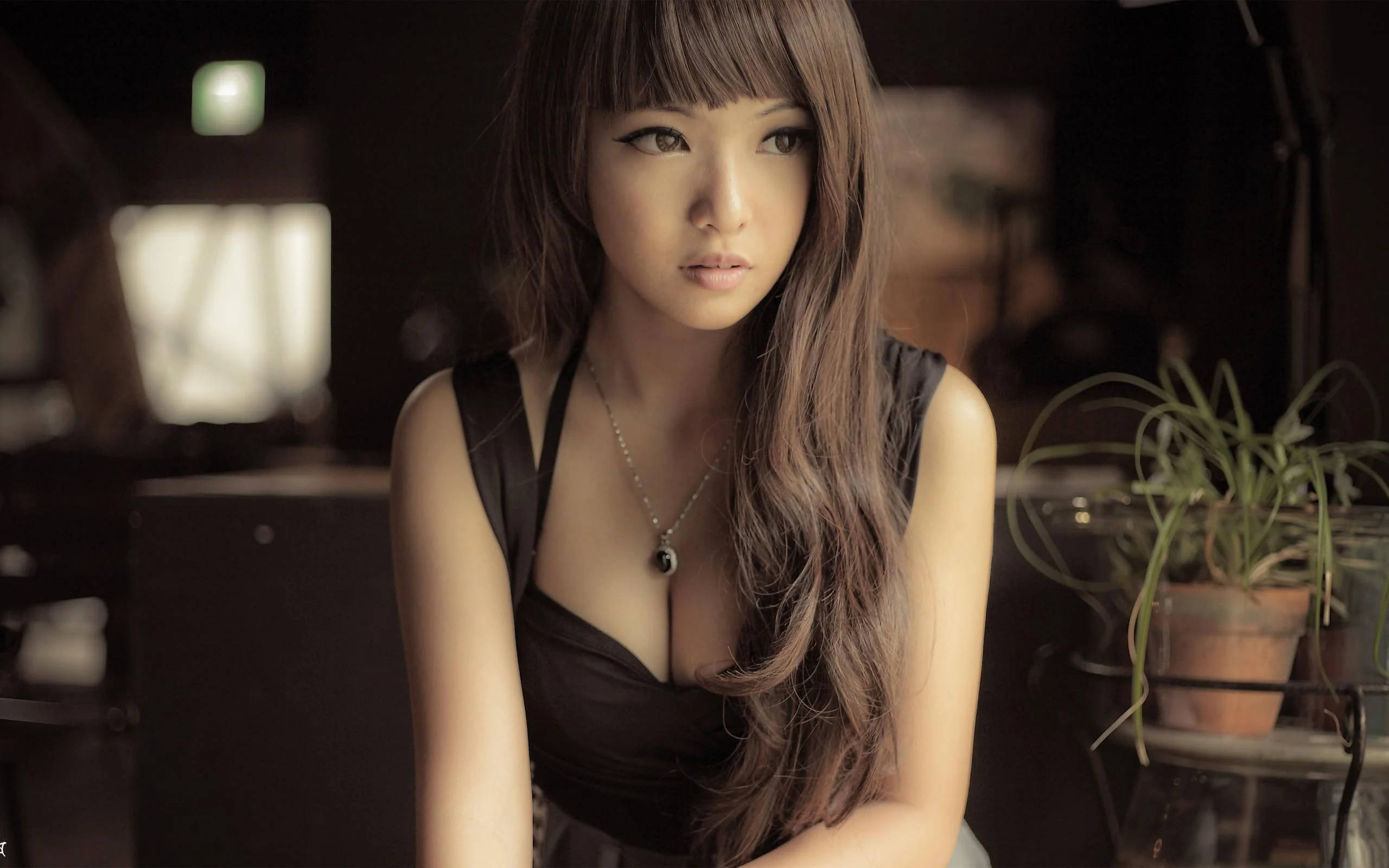 Asian Women, potted plant, long brown hair, 2K Desktop Wallpaper