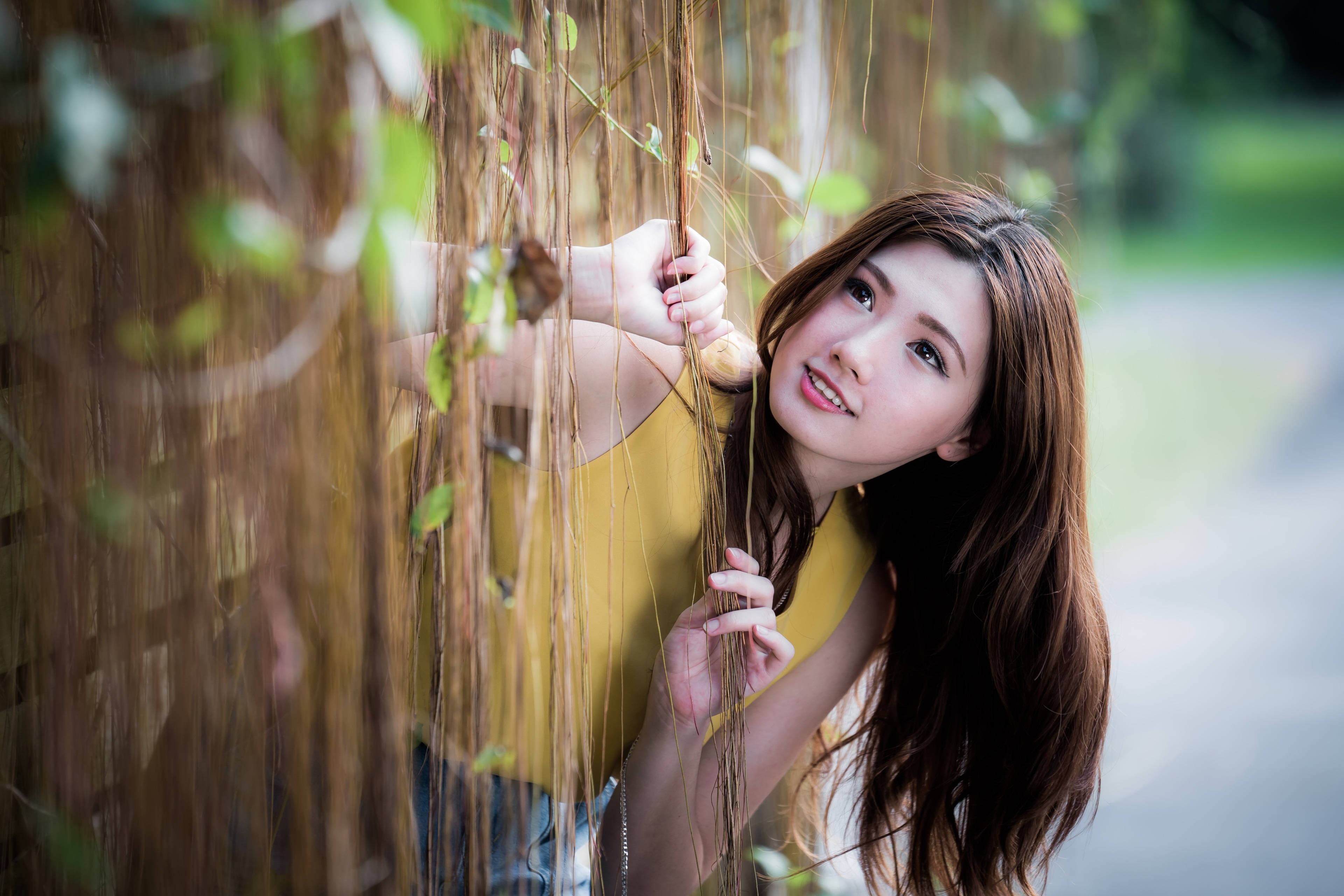yellow top, hanging vines, sunlit garden, 4K Desktop Wallpaper