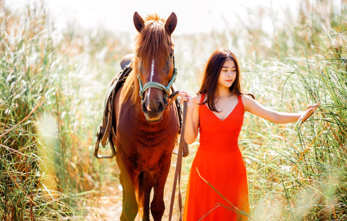 Asian woman, brown horse, vibrant red dress, HD Desktop Wallpaper