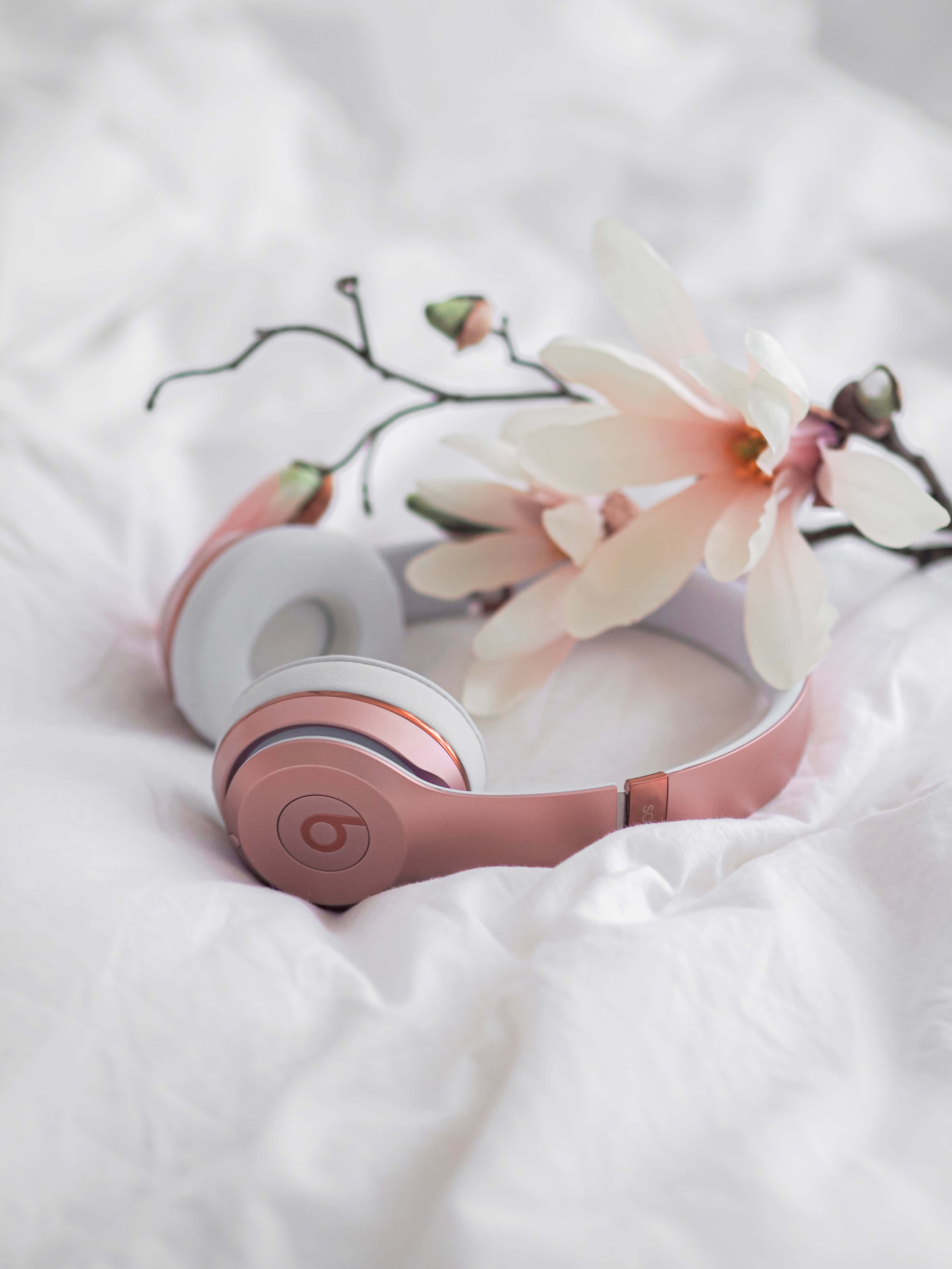 rose gold headphones, white bedding, pink magnolia blossom branch, 4K Phone Wallpaper