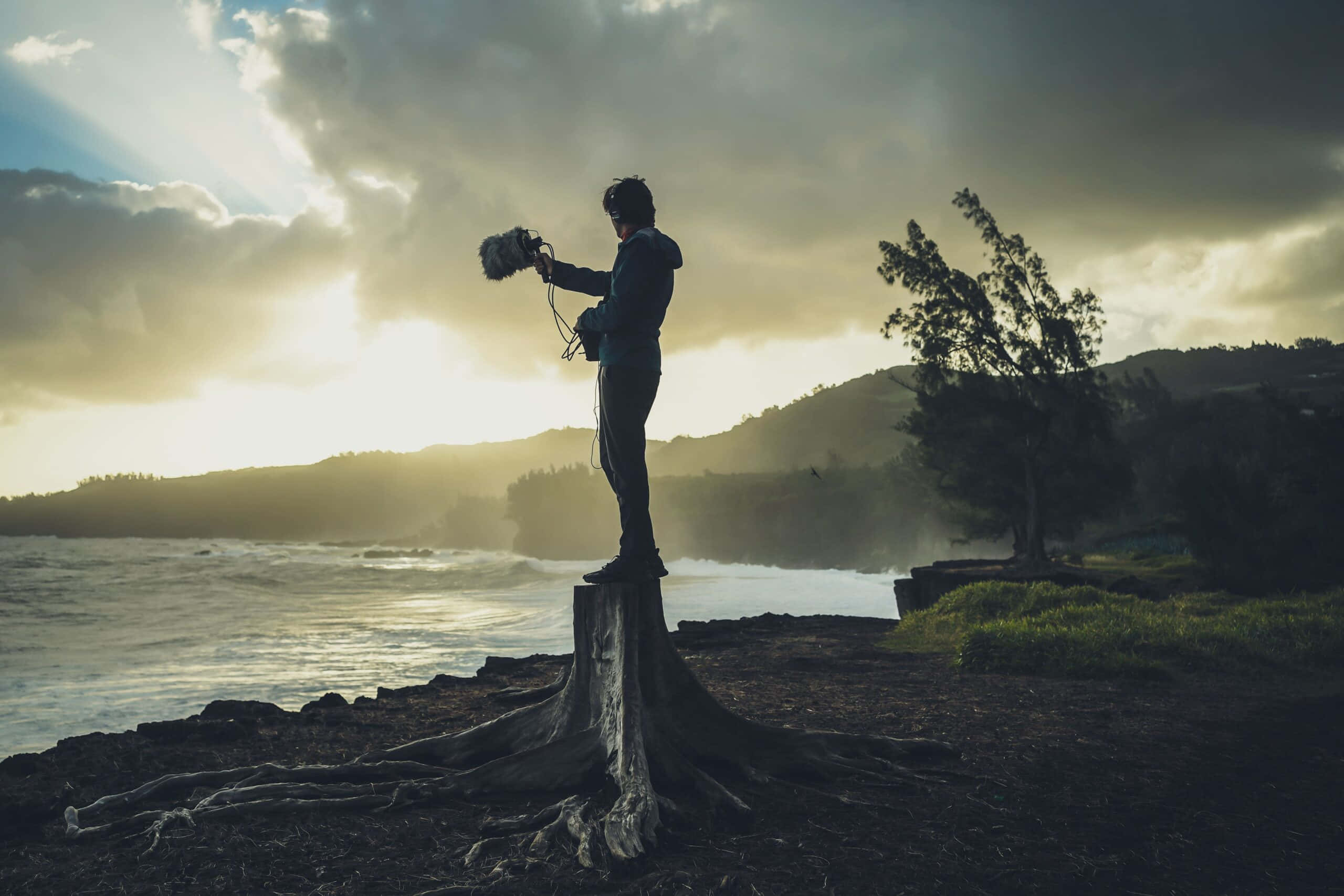tree stump, ocean, sunset, 2K Desktop Wallpaper