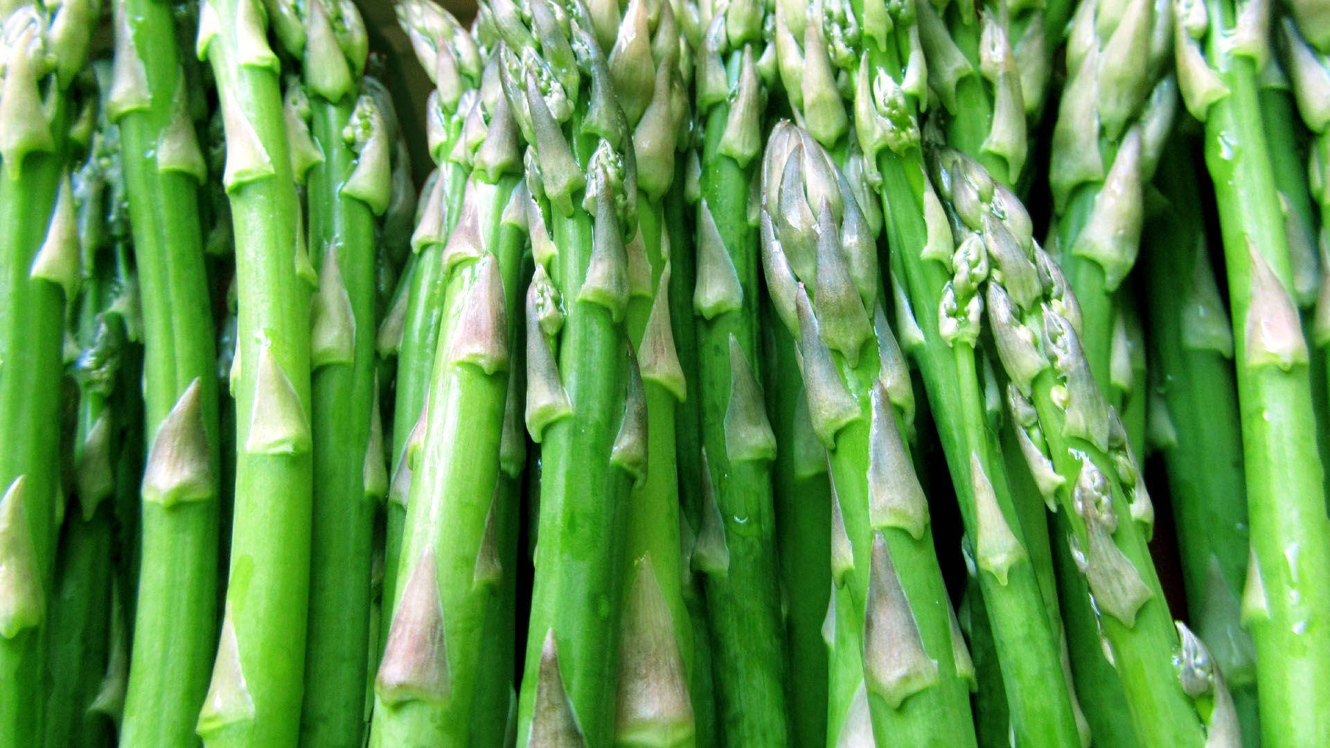 asparagus, green, organic herb, Full HD Desktop Wallpaper