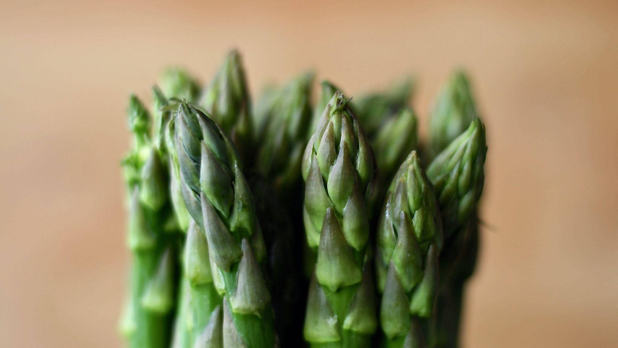 asparagus, green, young vegetable shoots, Full HD Desktop Wallpaper