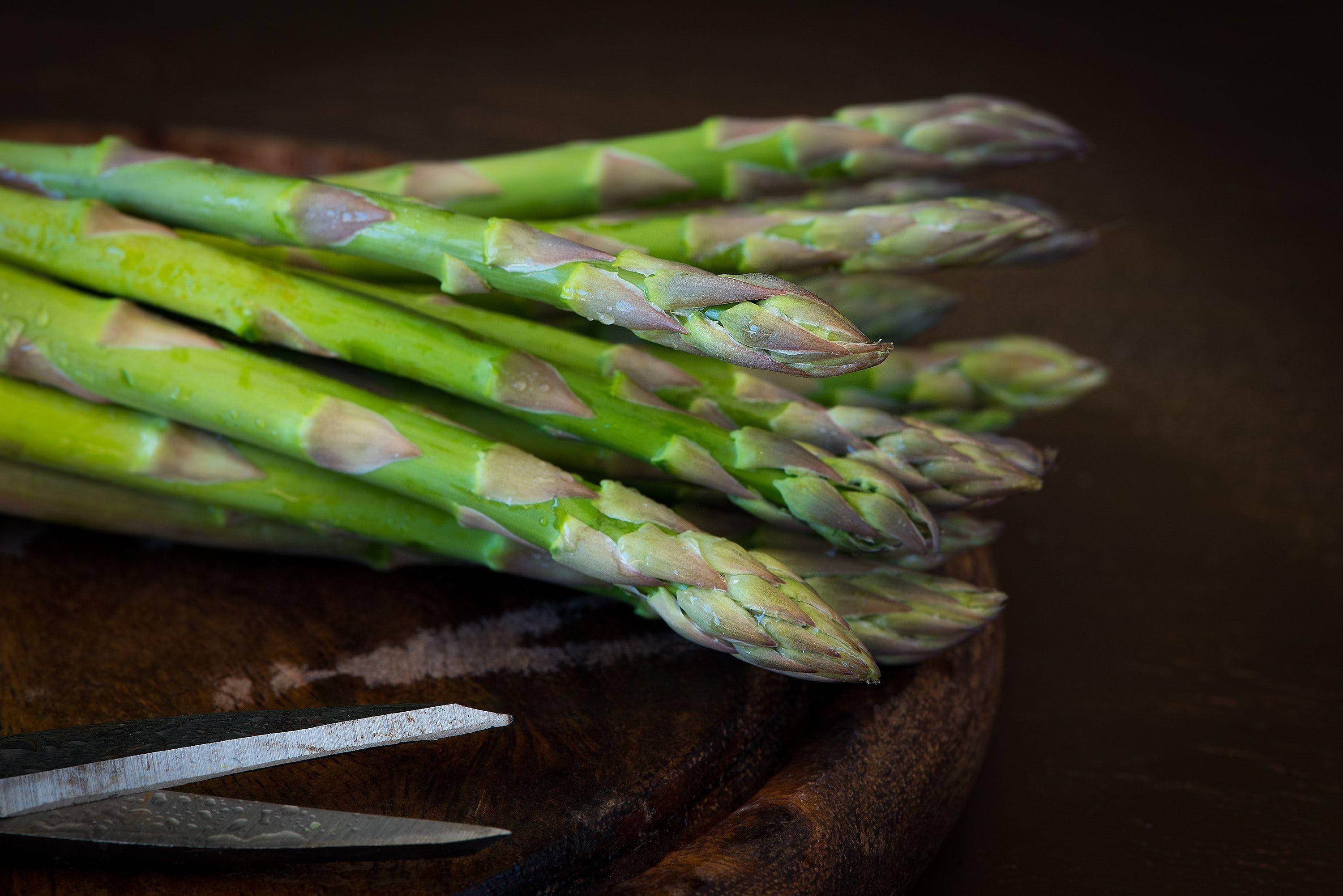 asparagus, short needle leaves, fresh green, 2K Desktop Wallpaper