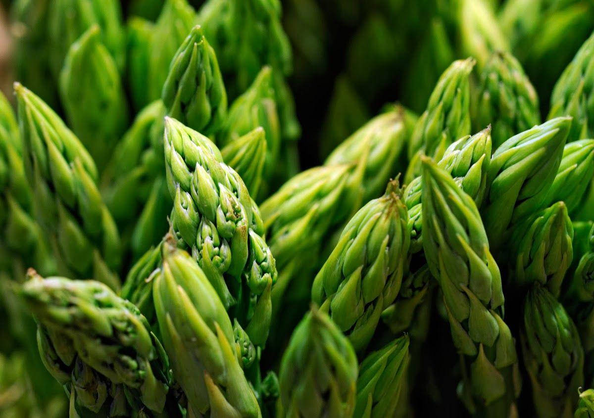asparagus, fresh green, textured tips, SD Desktop Wallpaper