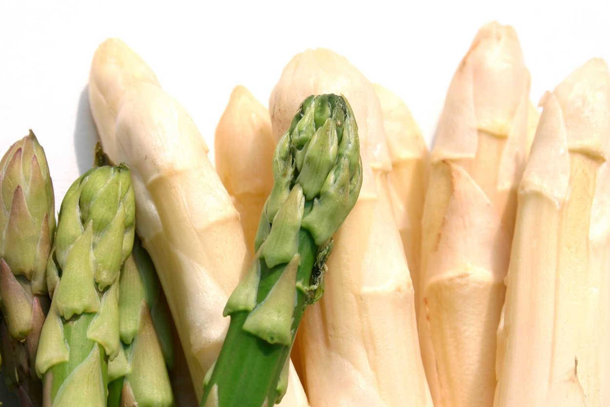 asparagus, green, white, SD Desktop Wallpaper