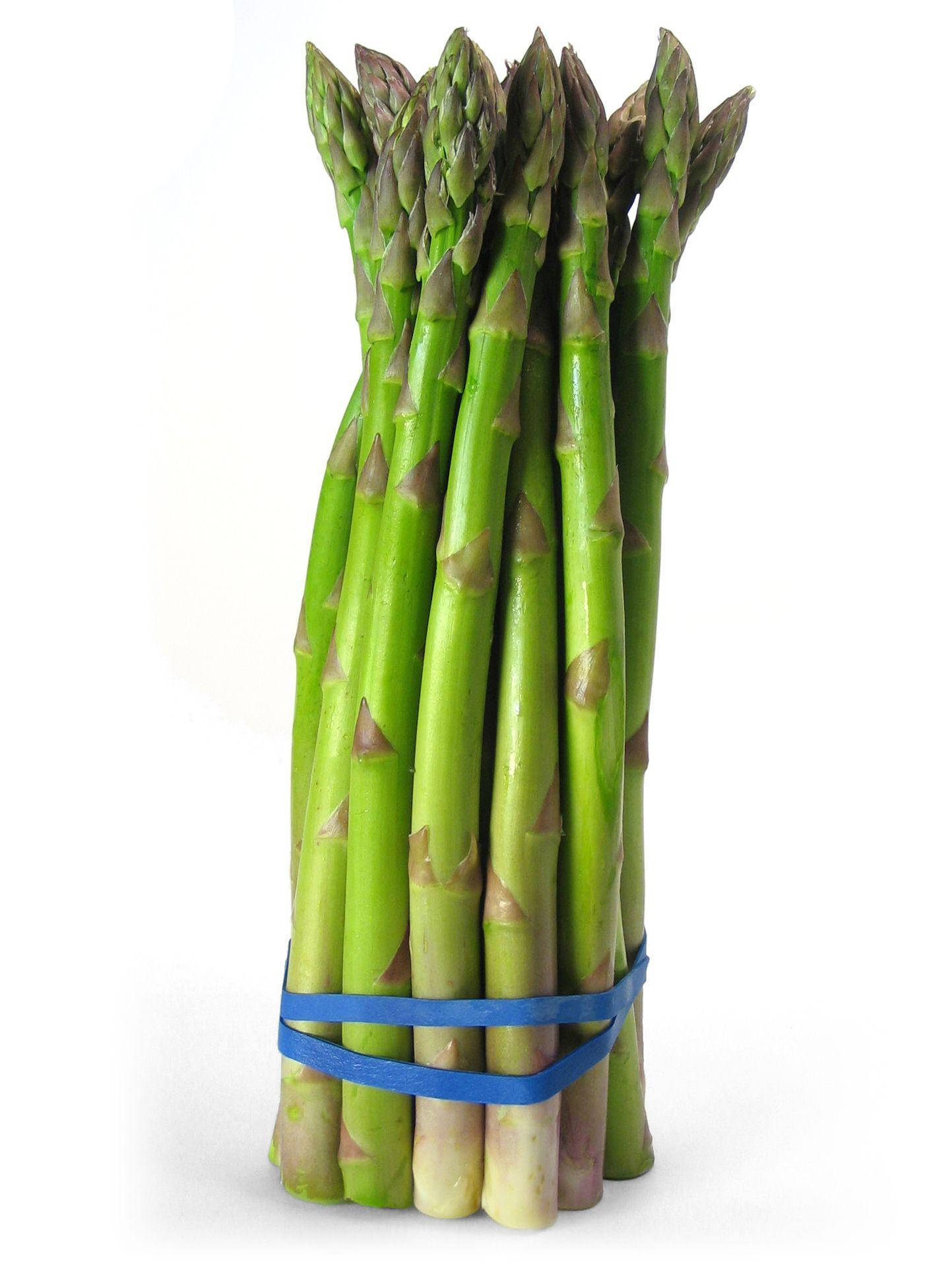 asparagus, perennial garden, vibrant green, Full HD Phone Wallpaper