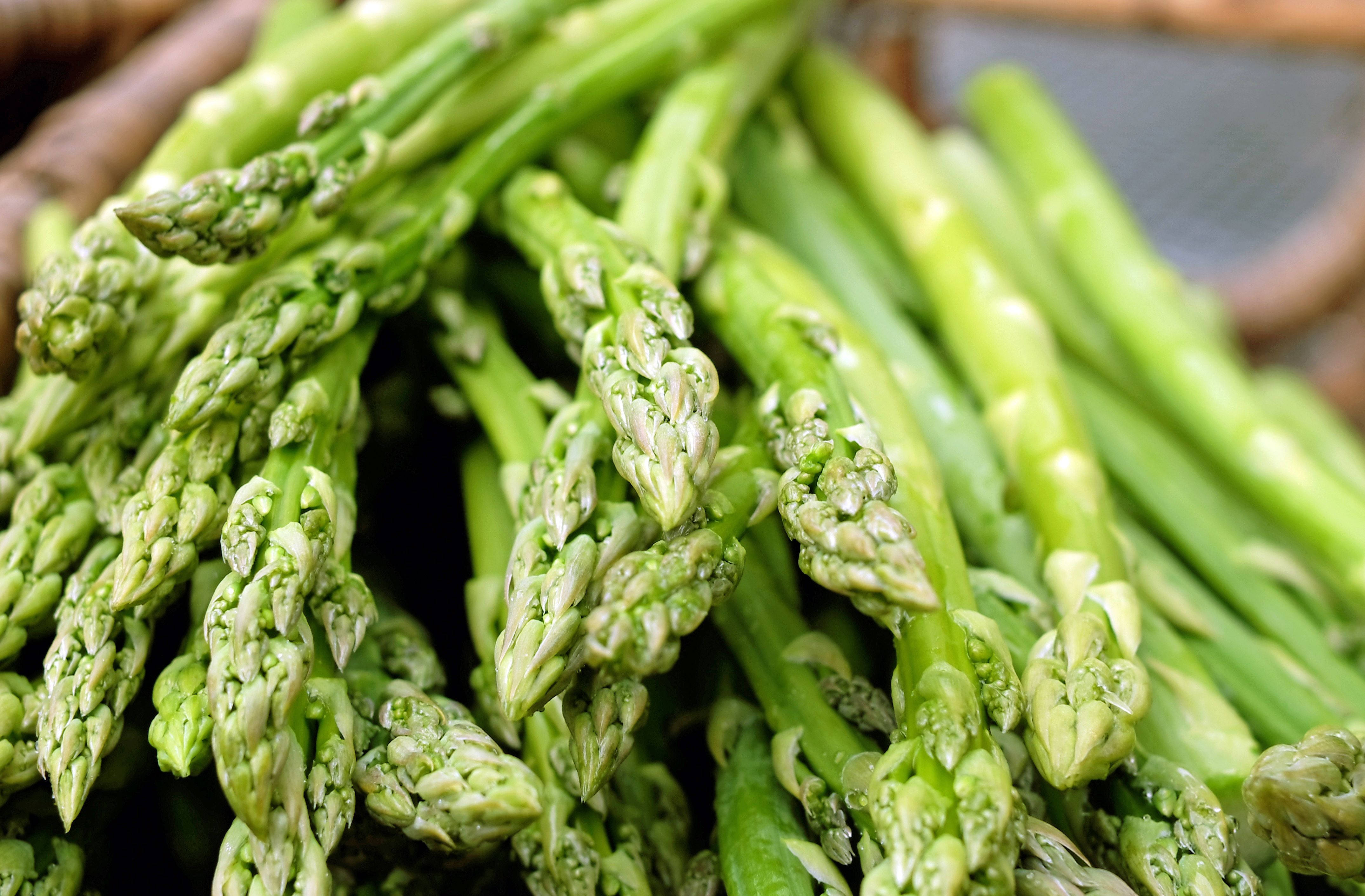 asparagus, young green shoots, dewy tips, 4K Desktop Wallpaper