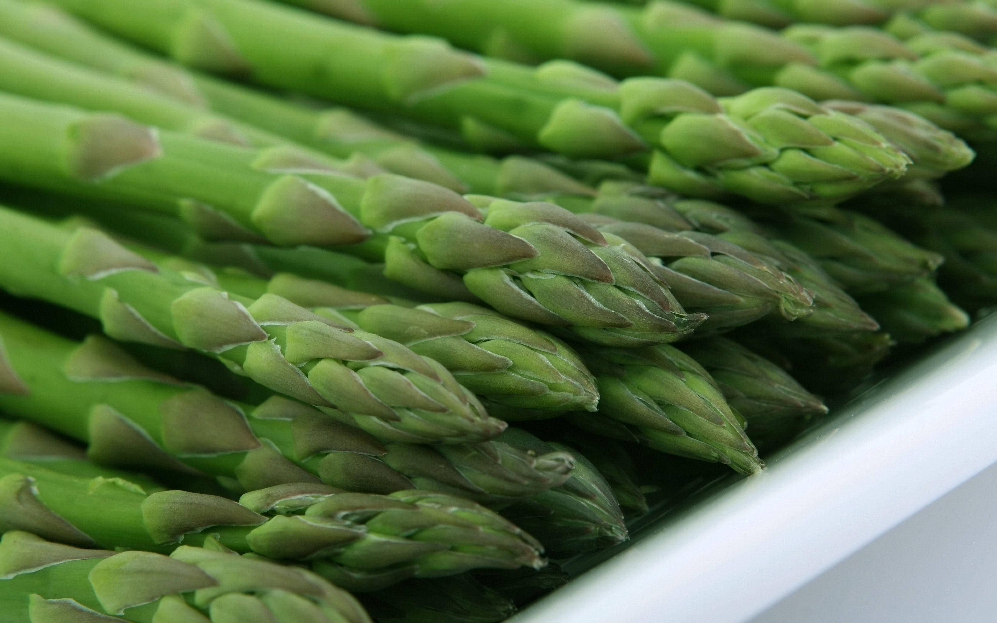 asparagus, white plate, vibrant green, 2K Desktop Wallpaper