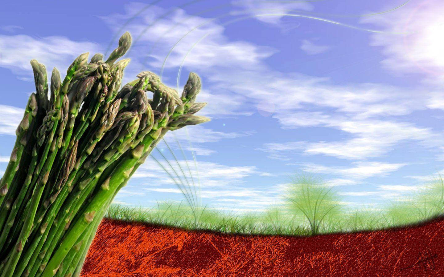 asparagus, green, red soil, HD Desktop Wallpaper