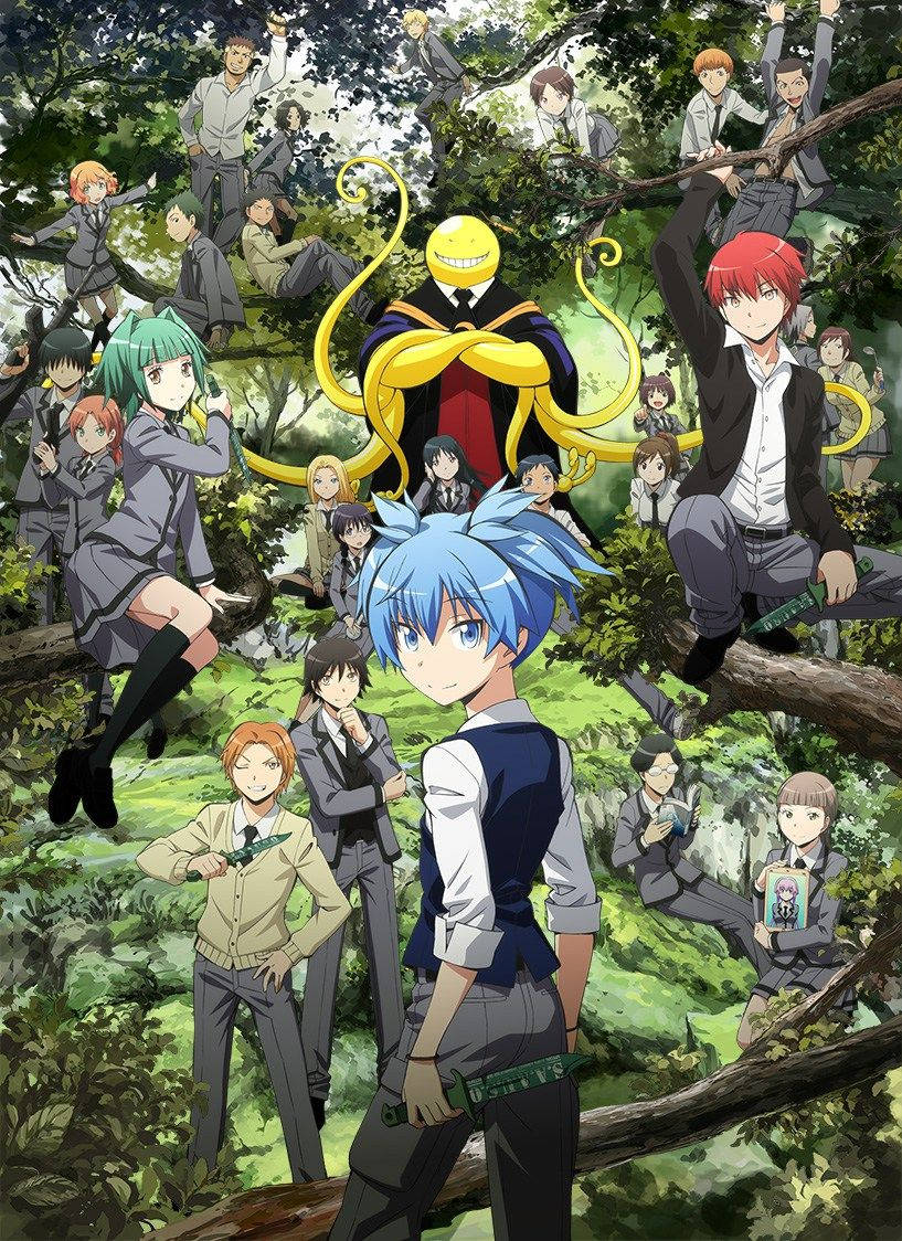 Assassination Classroom, cast, jungle, SD Phone Wallpaper