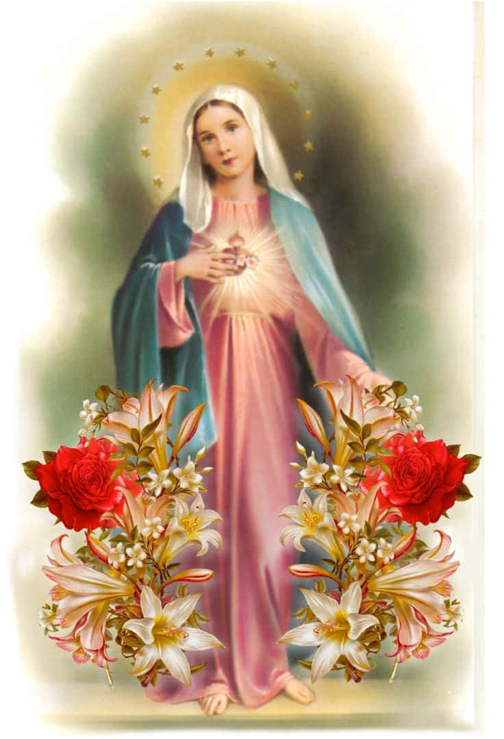 Mother Mary, radiant halo, glowing heart, SD Phone Wallpaper