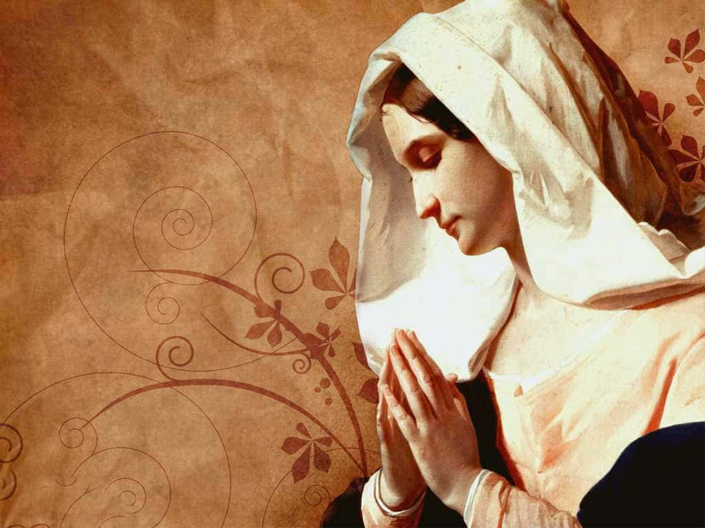 Mother Mary, nun, white veil, SD Desktop Wallpaper