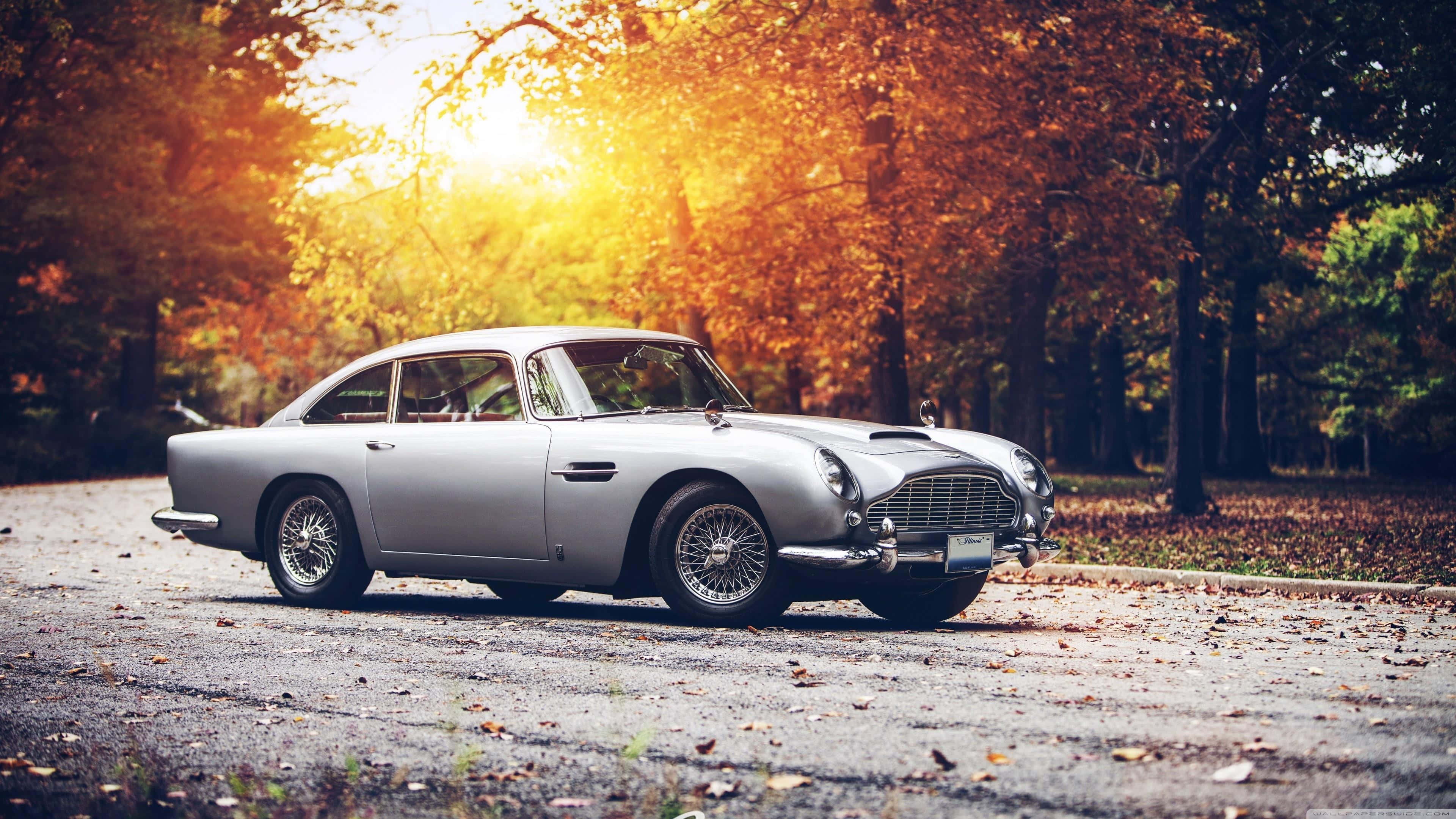 Aston Martin DB5, silver, leaf-strewn road, 4K Desktop Wallpaper