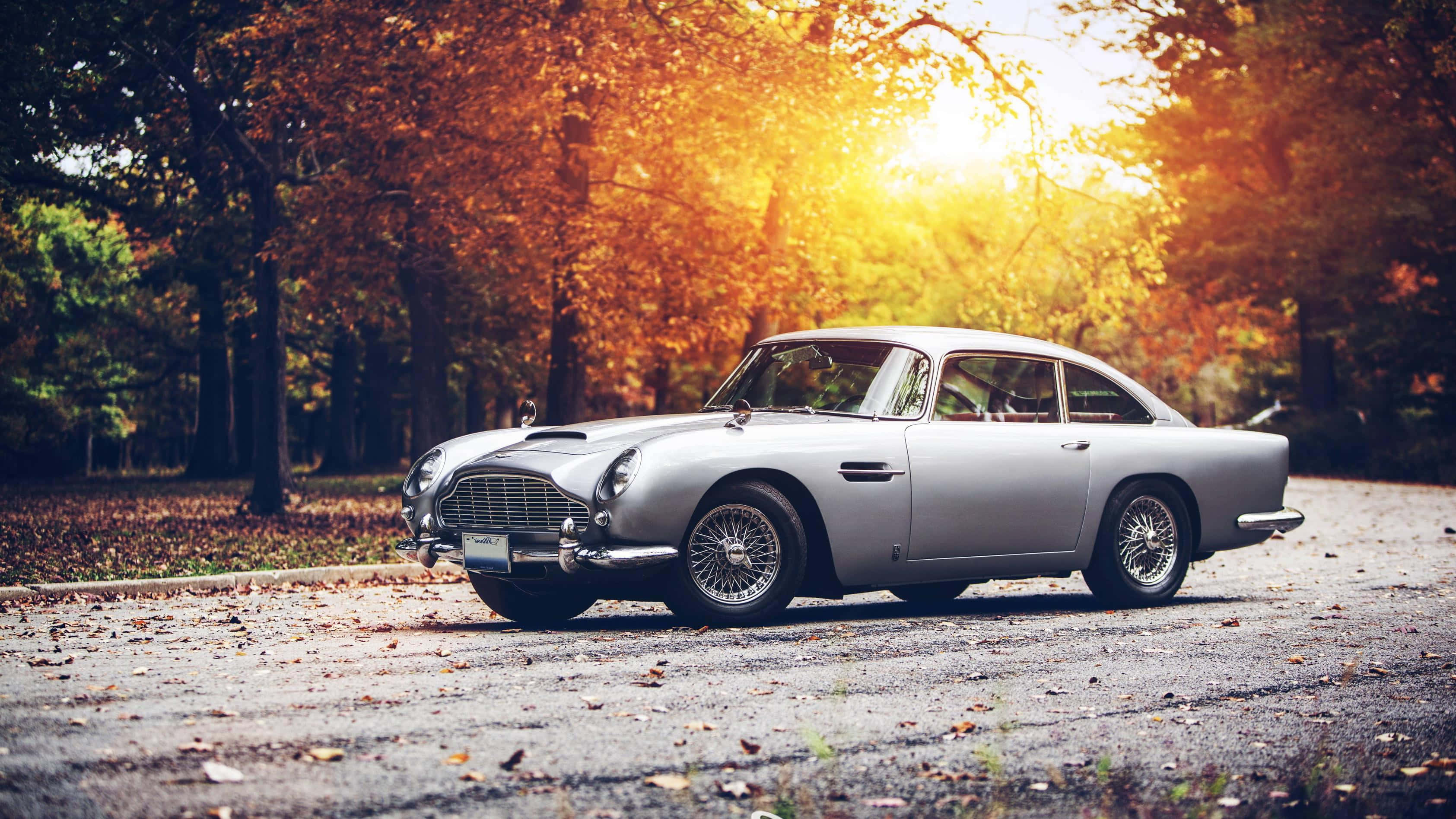 Aston Martin DB5, silver, golden autumn sunbeams, 2K Desktop Wallpaper