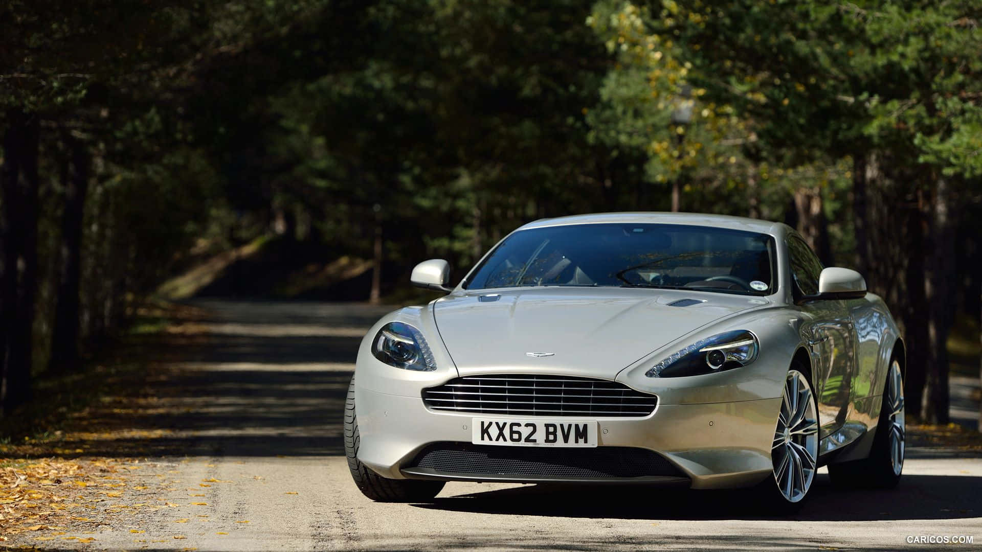 Aston Martin DB9, silver, sunlit forest road, Full HD Desktop Wallpaper