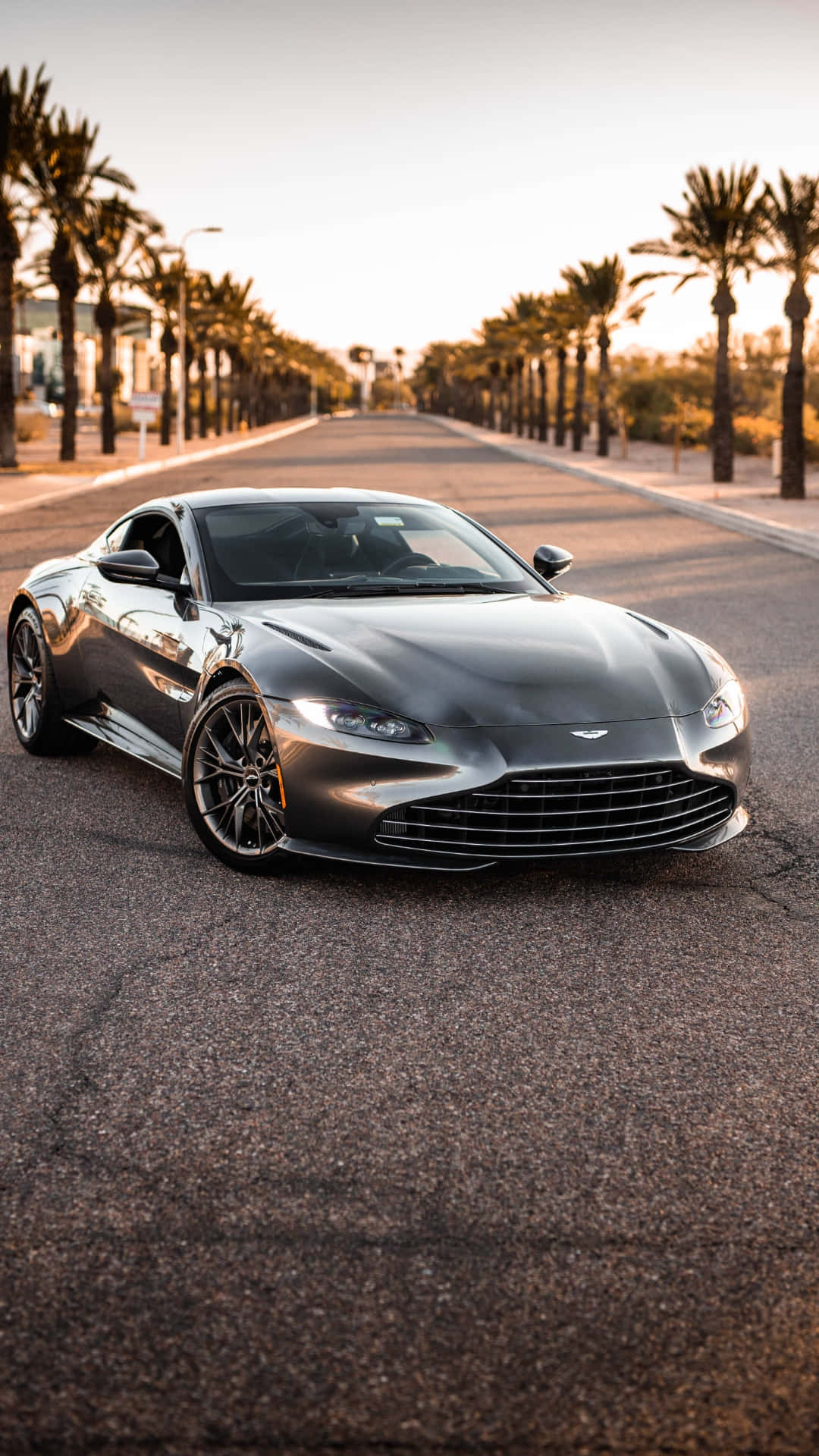 Aston Martin Vantage, silver, palm-lined road, Full HD Phone Wallpaper