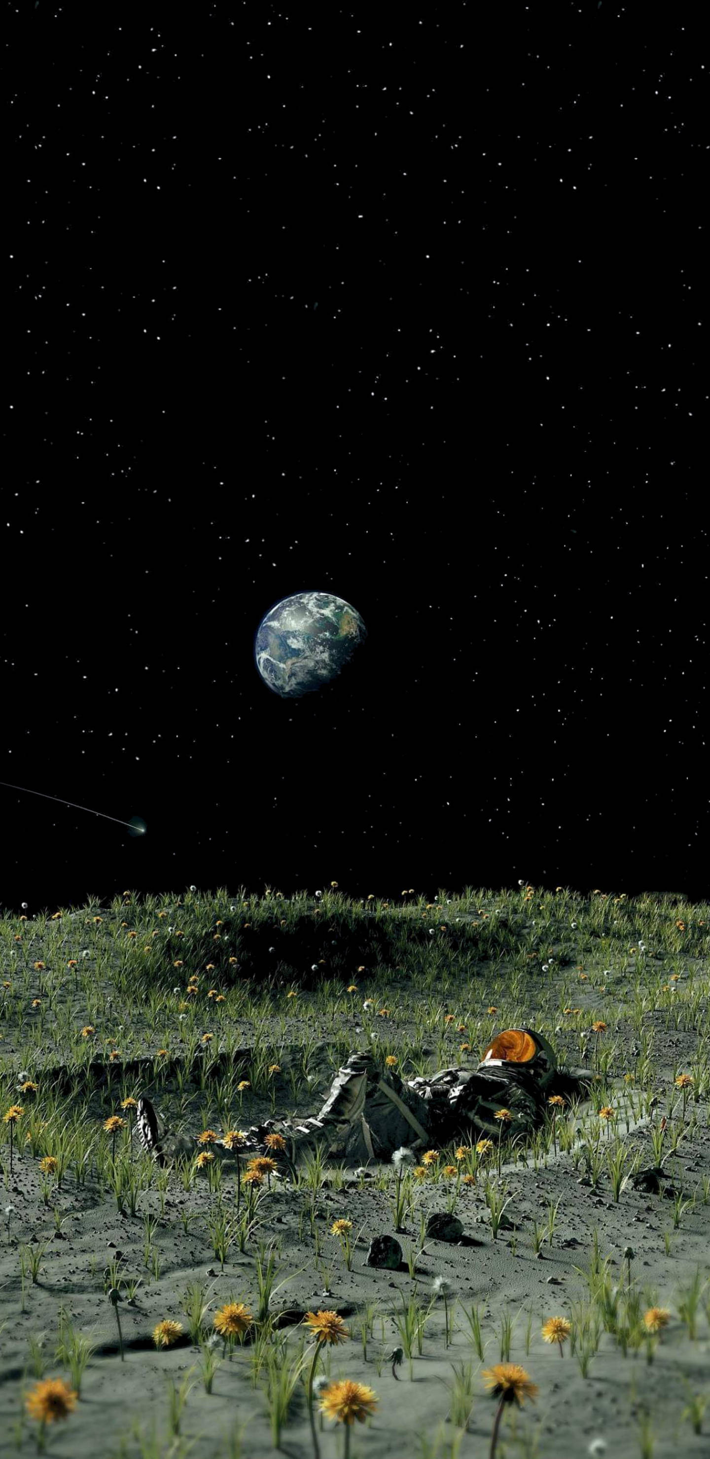Outer Space Garden 2K Amoled, astronaut, moonlit field of dandelions, 2K Phone Wallpaper