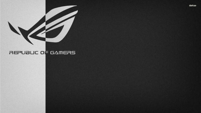Asus Rog Logo, black and white, textured vertical divide, SD Desktop Wallpaper