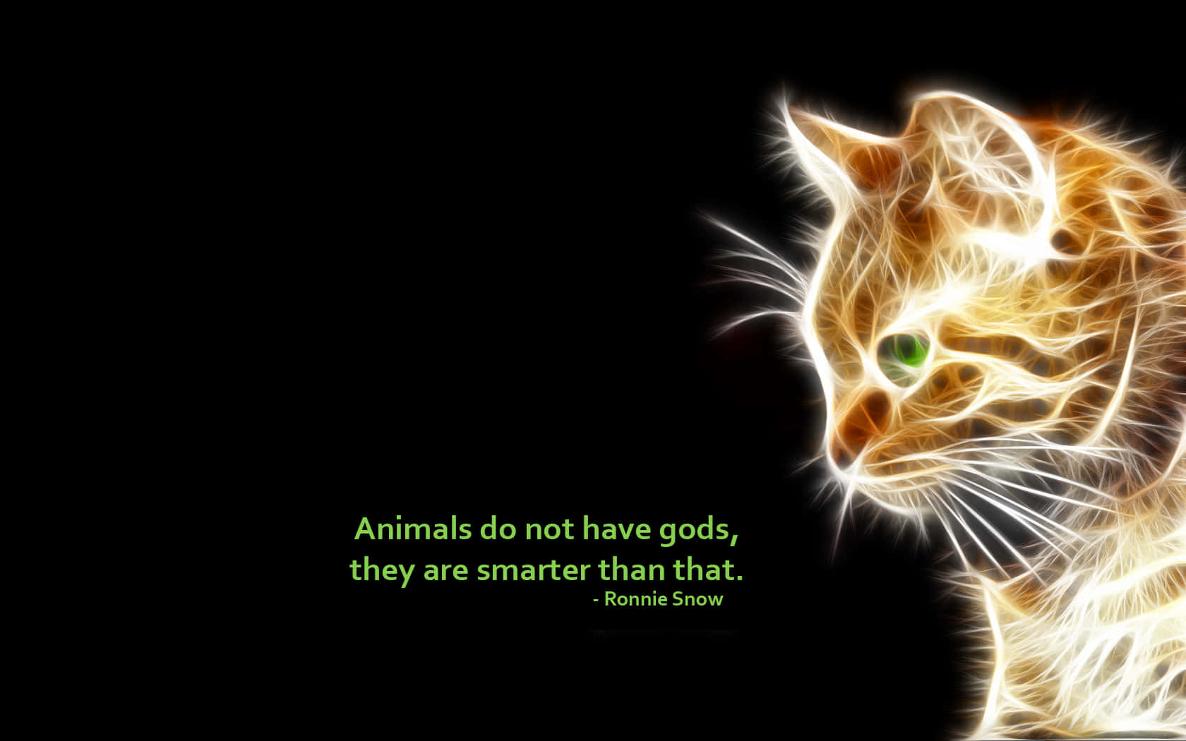 electric cat, green eyes, black background, HD Desktop Wallpaper