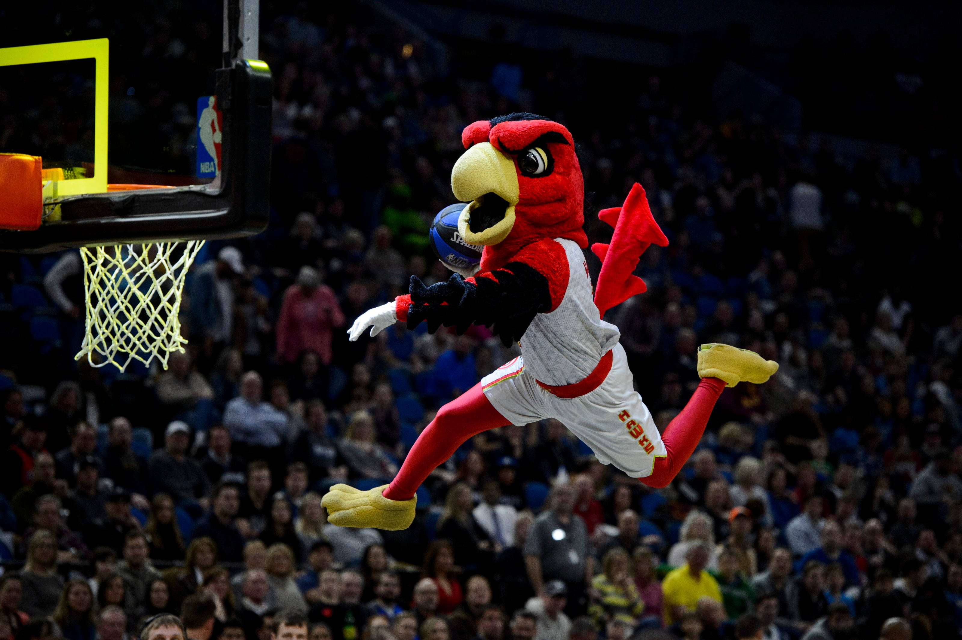 Atlanta Hawks, dunking, red bird mascot, 2K Desktop Wallpaper