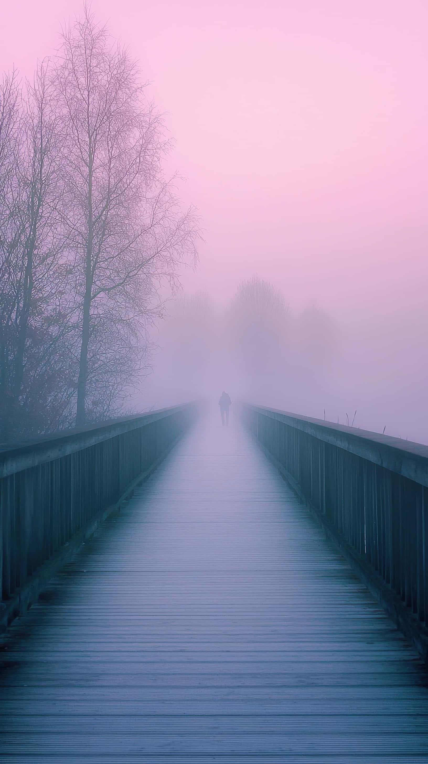 misty bridge at dawn, pink hues, blue fog, 2K Phone Wallpaper