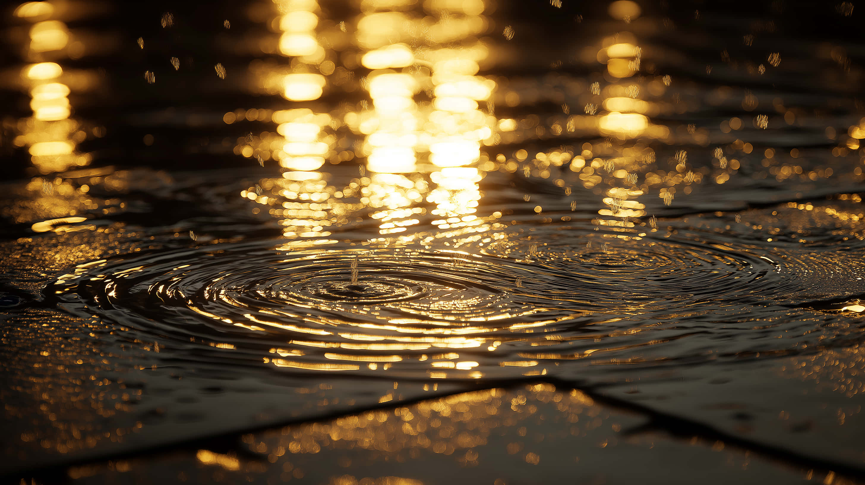 raindrop, wet pavement, concentric ripples, 2K Desktop Wallpaper