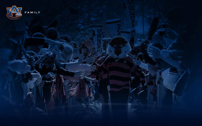 Auburn, tiger mascot, striped jersey, SD Desktop Wallpaper