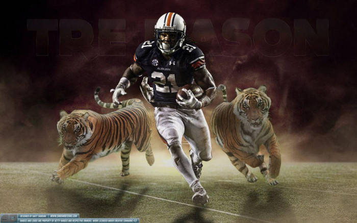Auburn, football player, Auburn gear, SD Desktop Wallpaper