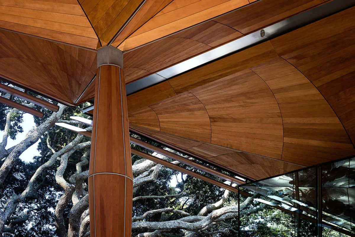 Auckland Art Gallery, canopy design, modern wooden canopy, SD Desktop Wallpaper