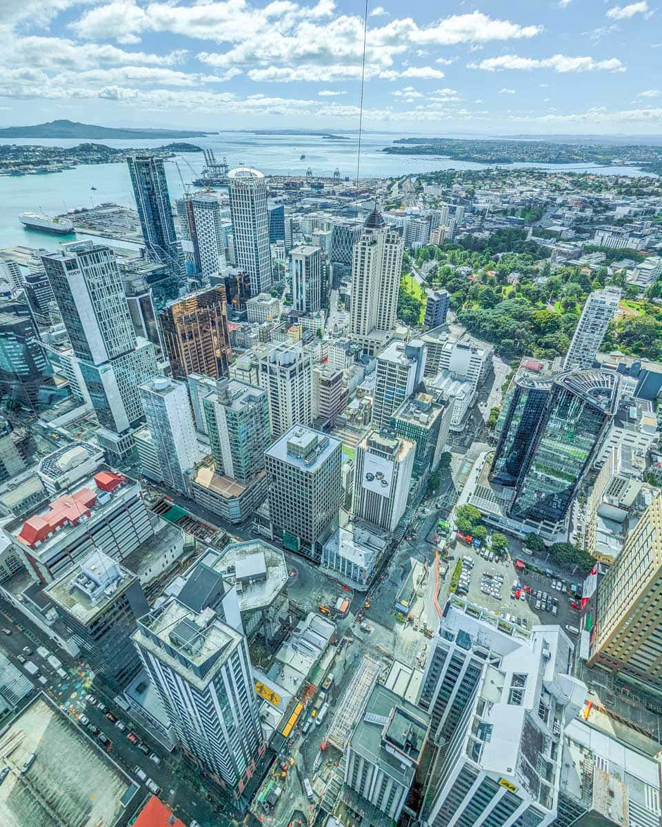 Auckland, cityscape, aerial view, SD Phone Wallpaper