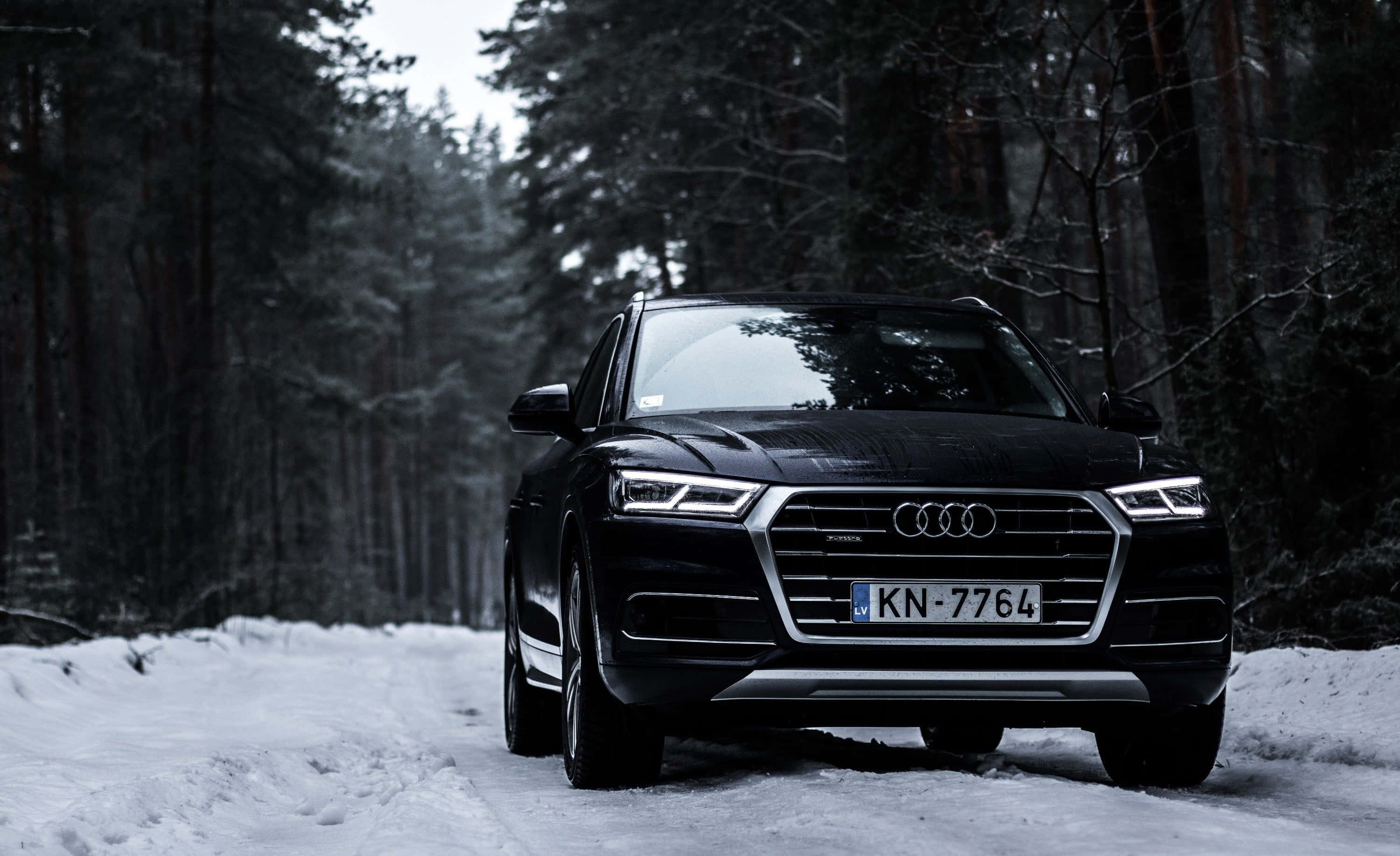 Audi Q5, black, snowy forest, 2K Desktop Wallpaper
