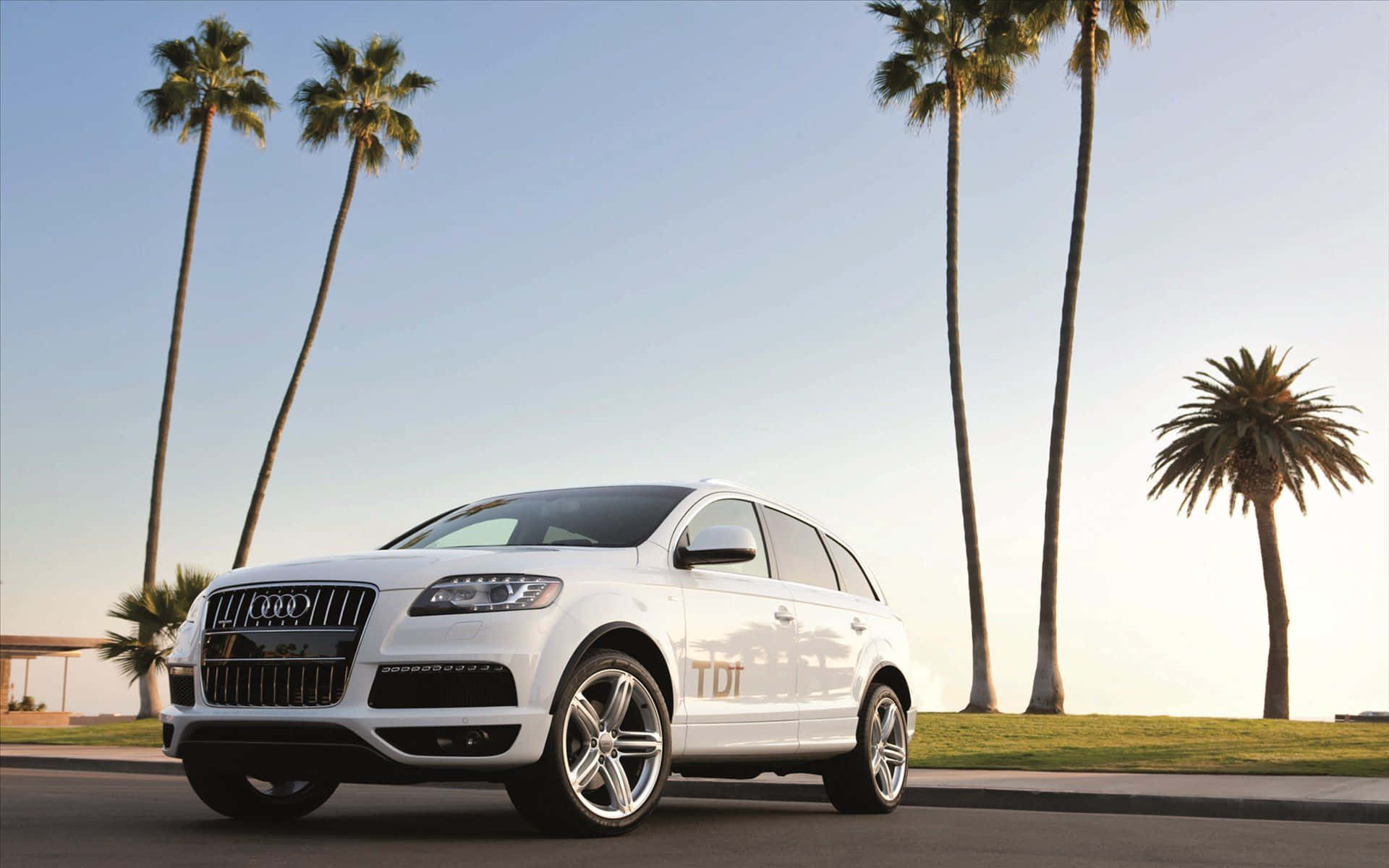 Audi Q7, white, palm-lined street, Full HD Desktop Wallpaper