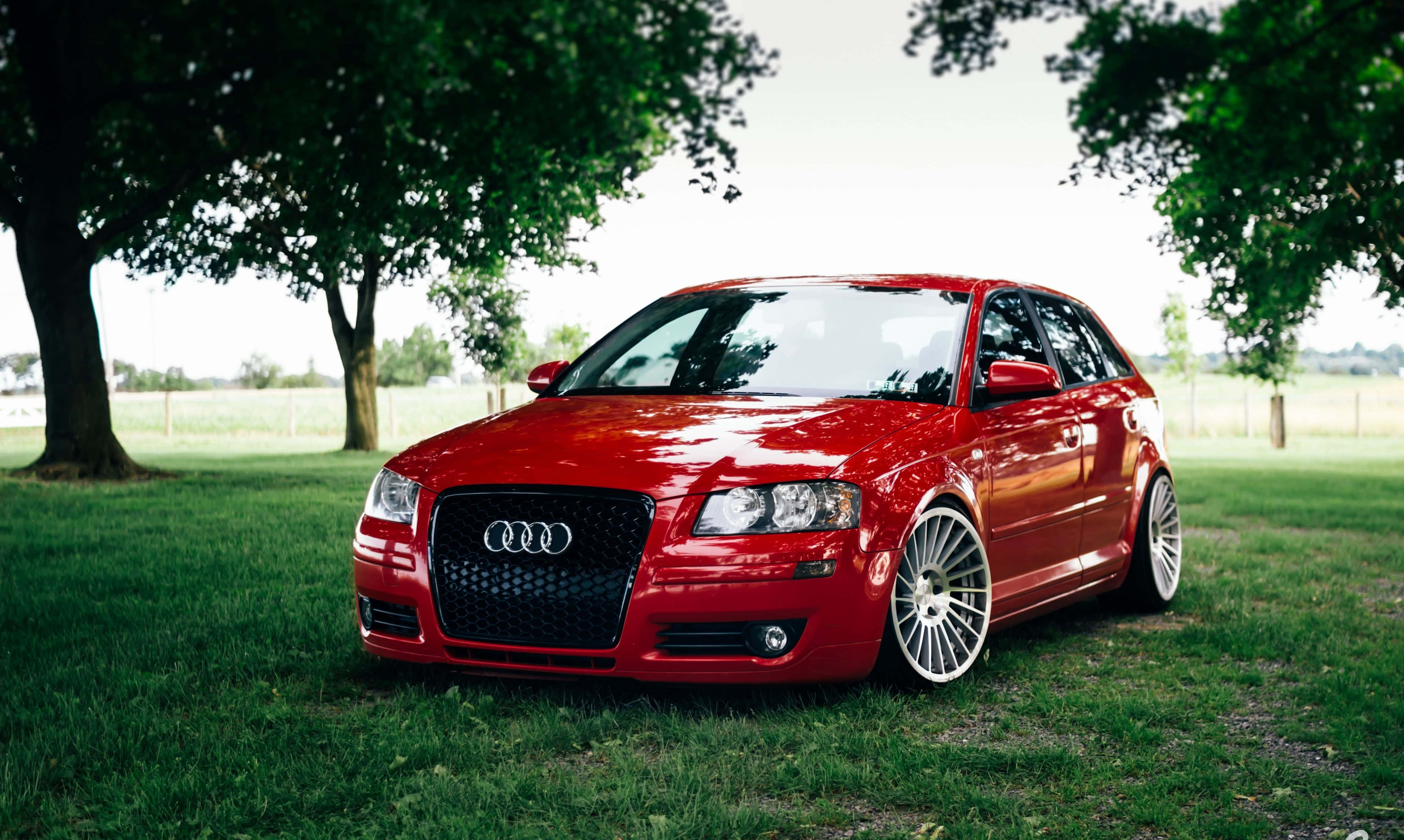 Audi S3, glossy red, station wagon, 2K Desktop Wallpaper